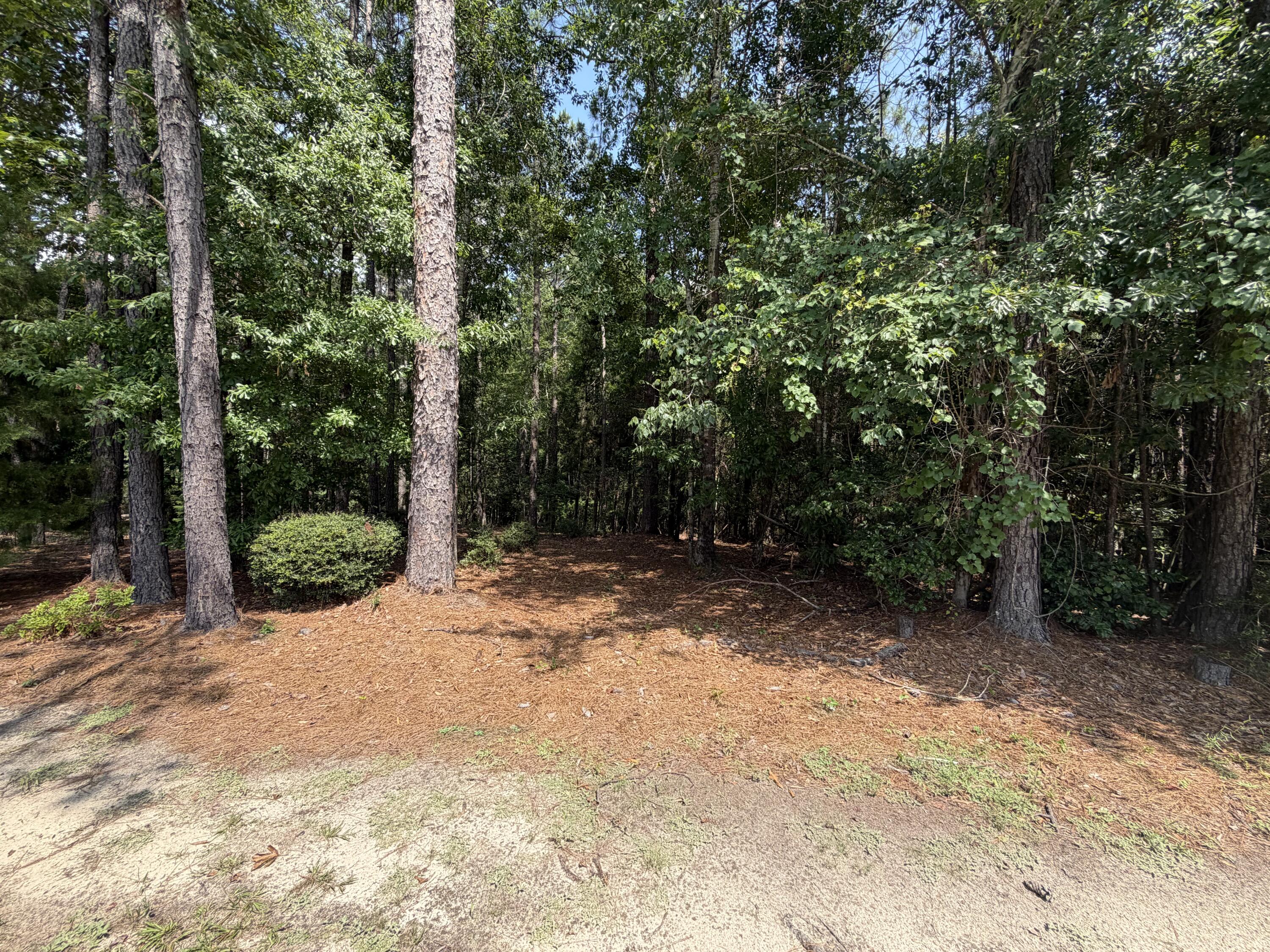 Country Club of Brewton - Land
