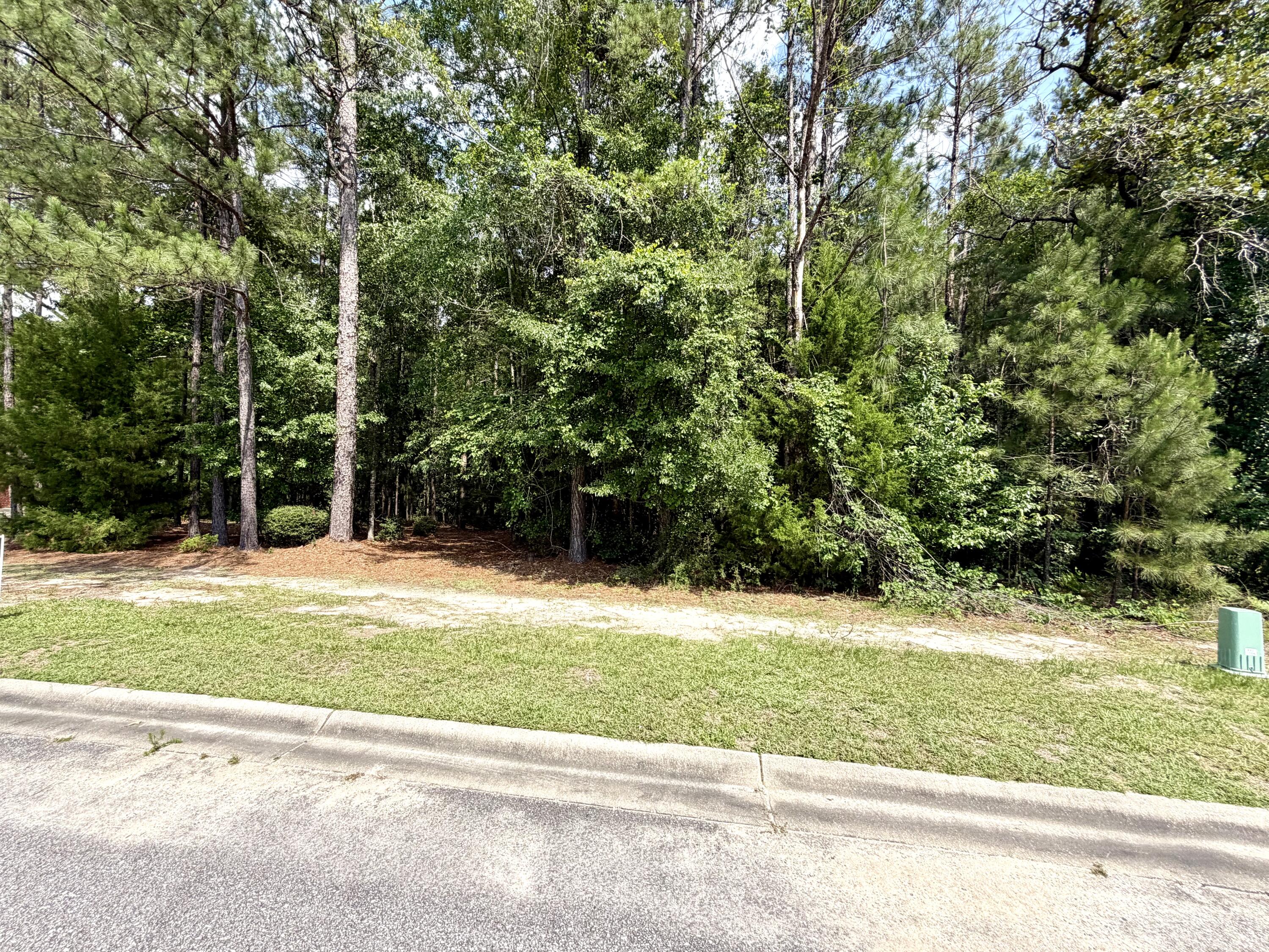 Country Club of Brewton - Land