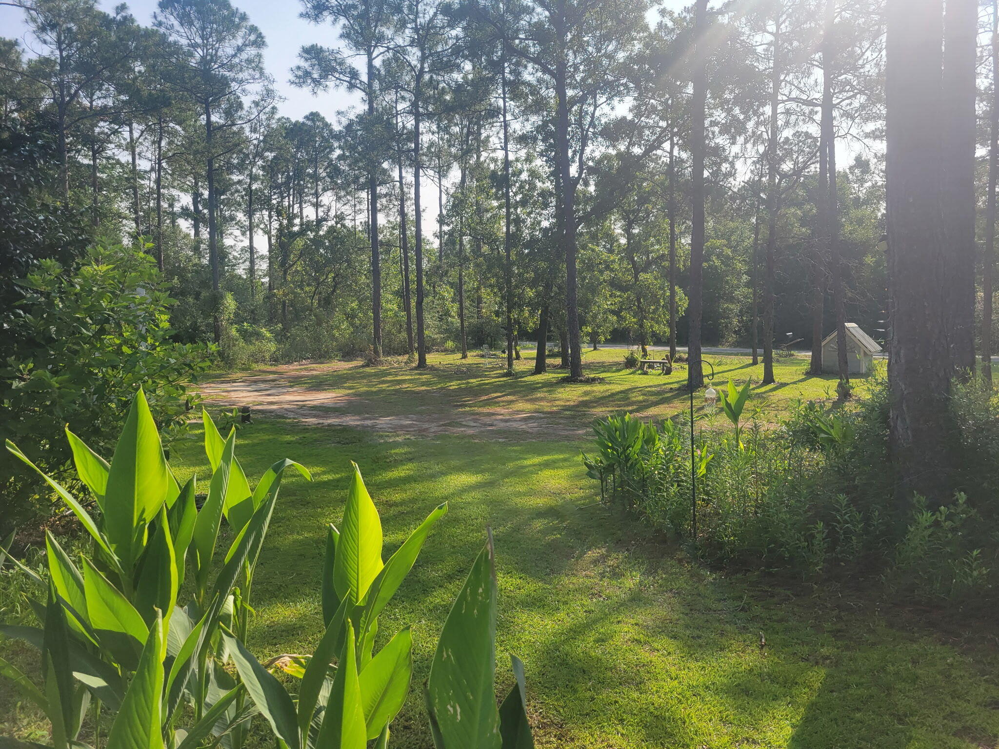 RUSTLING PINES - Residential