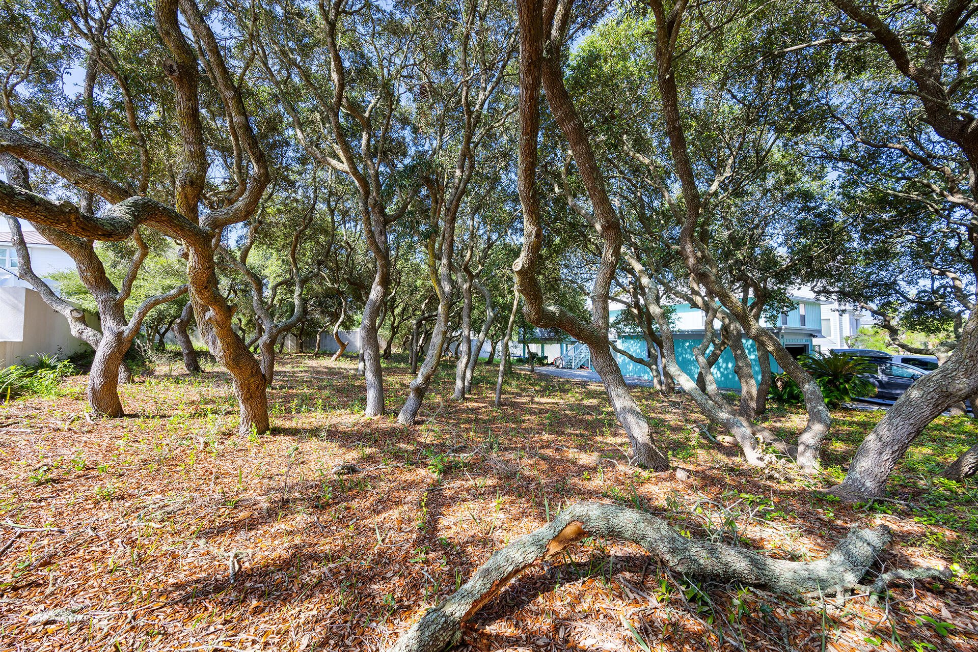 GULFVIEW HEIGHTS 1ST ADDN - Land