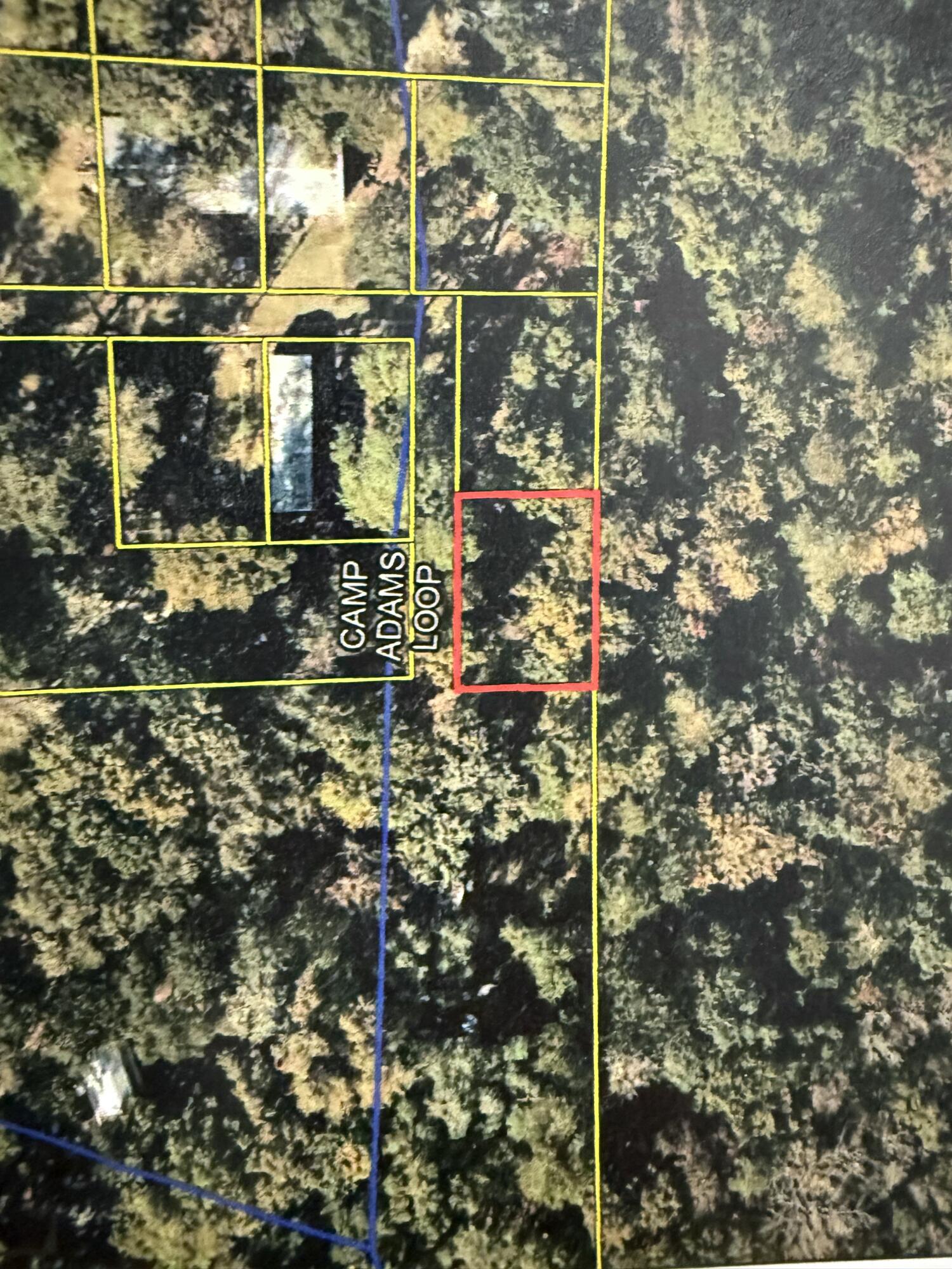 BIG OPPORTUNITY IN A SMALL PACKAGE! Discover the potential of this approximately 0.081-acre lot located at 105 Camp Adams Loop in Ponce De Leon, Florida.  Whether you're looking for a future homesite, and investment opportunity, or a place to create your own Northwest Florida retreat, this property offers a unique chance to own land in a peaceful setting.  Enjoy the charm of small-town living while remaining within convenient driving distance of shopping, dining, outdoor recreation, and the beautiful beaches of the Emerald Coast.  Bring your vision and explore the possibilities this property may offer.  With no existing improvements in place, you have a blank canvas ready for your ideas.  Don't miss this affordable opportunity to secure your piece of Florida and start planning your next adventure today!  Buyer to verify all information deemed important, including zoning, land use, dimensions, utilities, building requirements, and development potential.