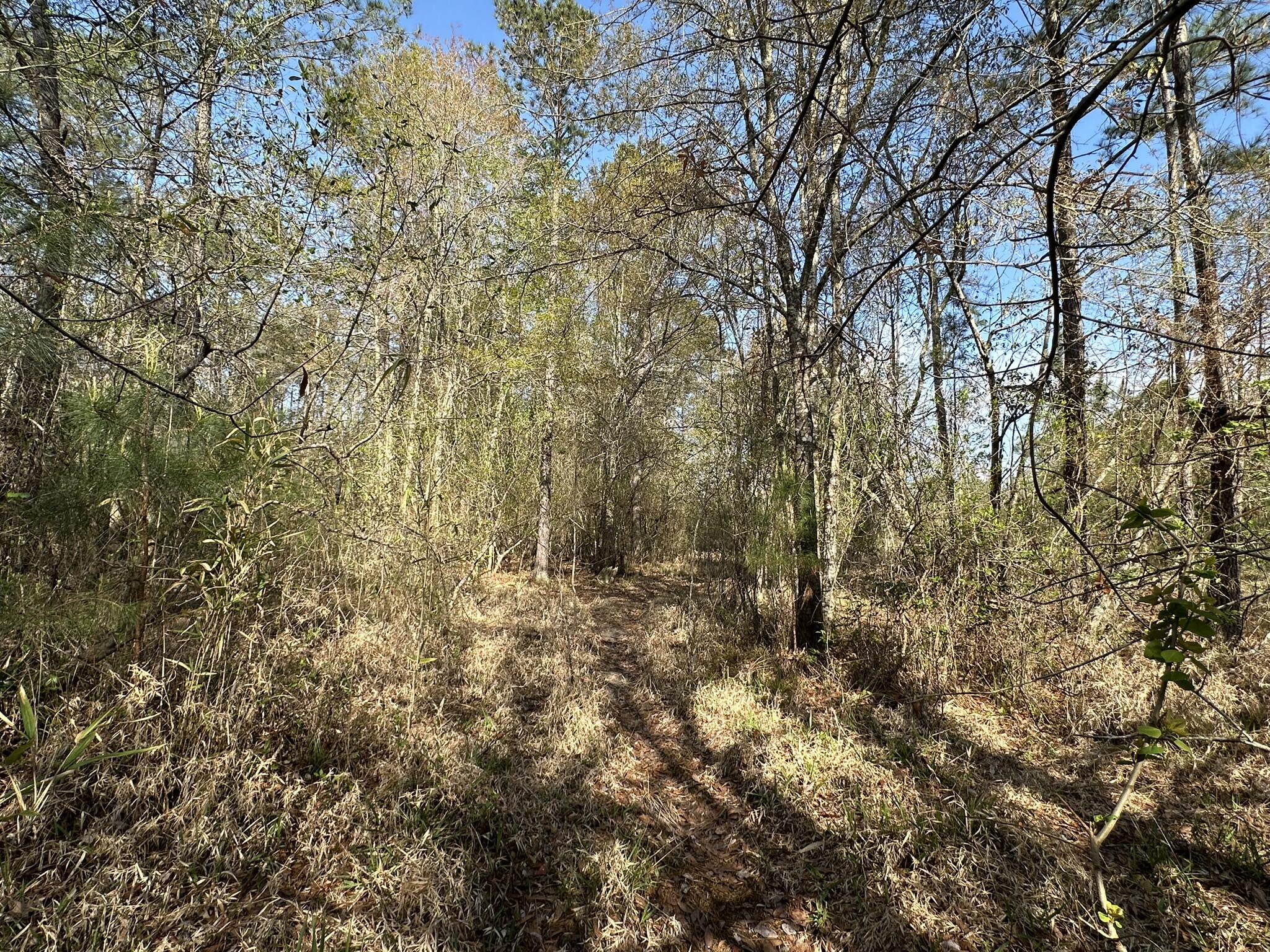 No Named Subdivision - Land
