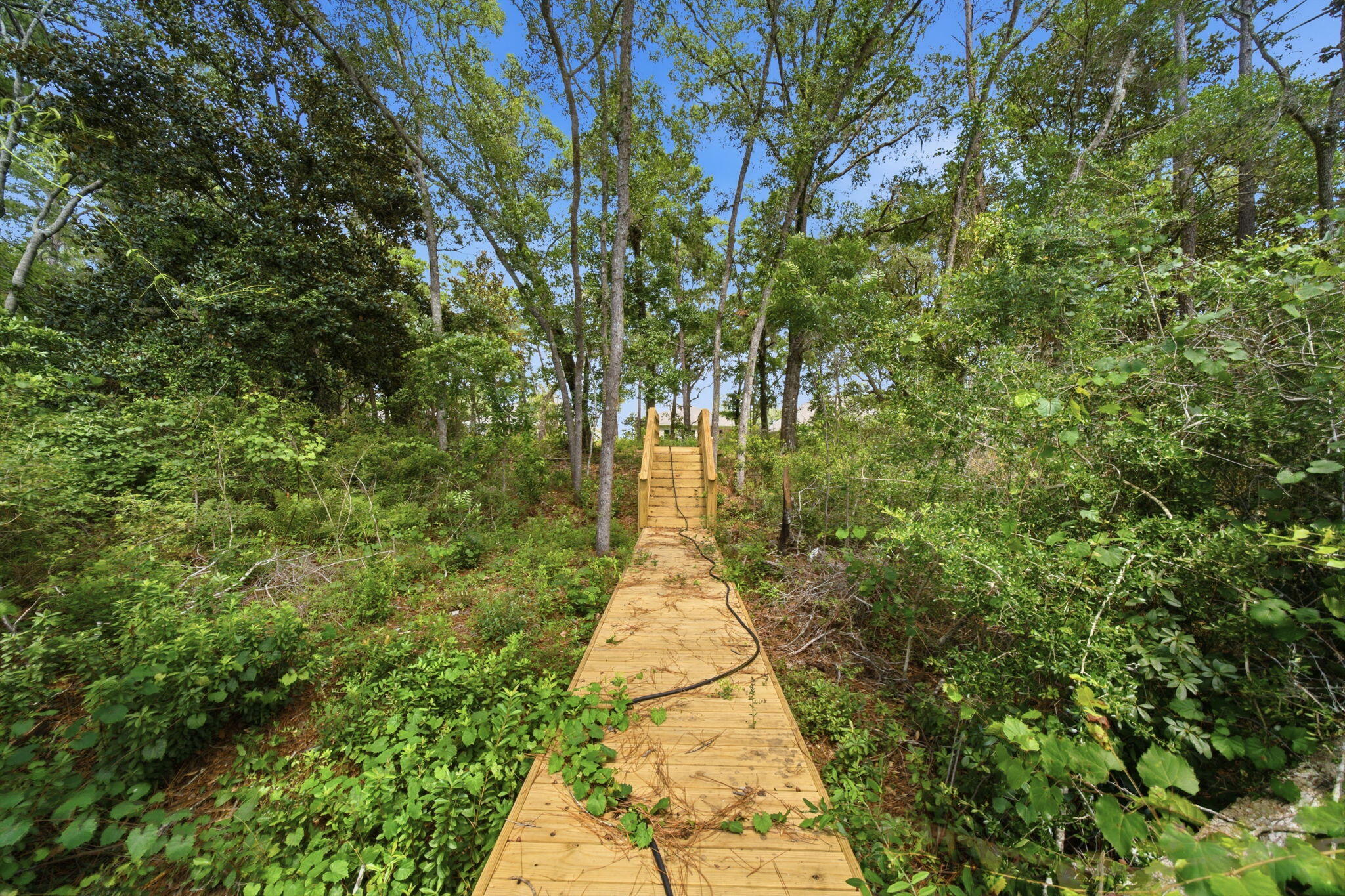 HOLLEY GROVE - Residential