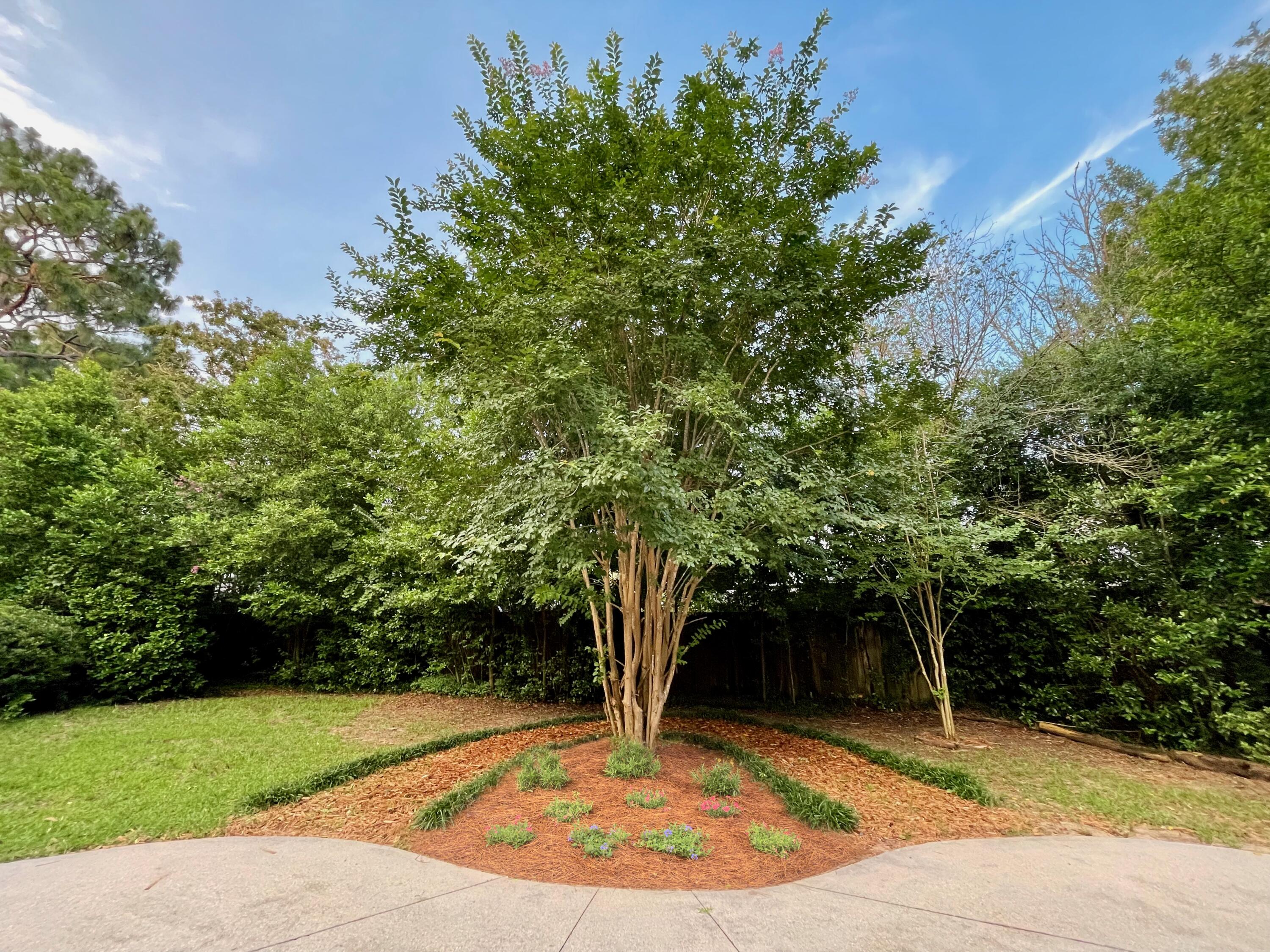 SHOAL LANDING EAST - Residential