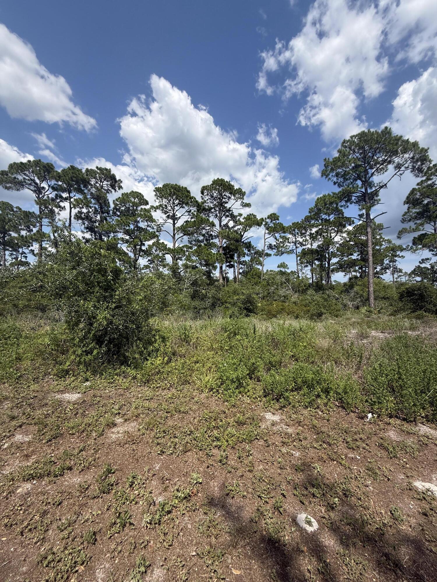 abulous beachside lot priced to sale!! Create your own piece of Florida's Forgotten Coast at 504 Tide Water Drive, an outstanding homesite nestled within the sought-after WindMark Beach community in Port St. Joe. Whether you're envisioning a primary residence, a second home, or an investment property, this homesite provides the ideal backdrop for a custom coastal retreat designed around your lifestyle. A recent survey and thoughtfully designed house plans are available, offering an opportunity to simplify the building process and bring your vision to life even sooner. Life at WindMark Beach is about more than owning property--it's about embracing a relaxed coastal lifestyle. Spend your days exploring miles of scenic walking and biking trails, cooling off in the resort-style community pool, or taking a golf cart ride to the vibrant Town Center, where you'll find waterfront dining, boutique shopping, and everyday conveniences. Just moments away, the pristine beaches and crystal-clear waters of the Gulf invite you to fish, paddle, boat, collect shells, or simply enjoy spectacular sunsets along one of Florida's most naturally beautiful coastlines. Perfectly positioned to capture the charm and tranquility that make Port St. Joe so desirable, this homesite offers the flexibility to build a home that reflects your personal style while enjoying the exceptional amenities and welcoming atmosphere of WindMark Beach. If you've been searching for the ideal place to build your dream home on the coast, this is an opportunity you won't want to miss. Some dimensions obtained from the Gulf County Property Appraiser's website, please verify if important.