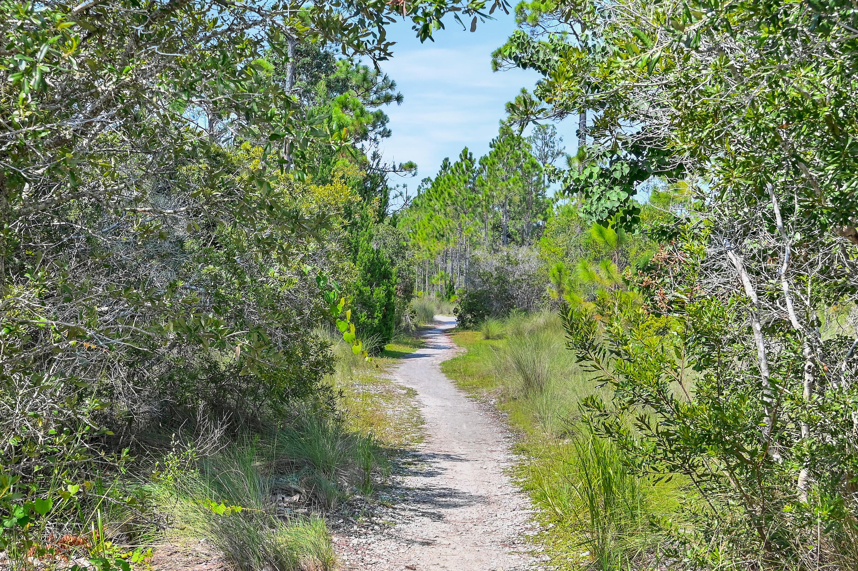 NATUREWALK AT SEAGROVE - Residential
