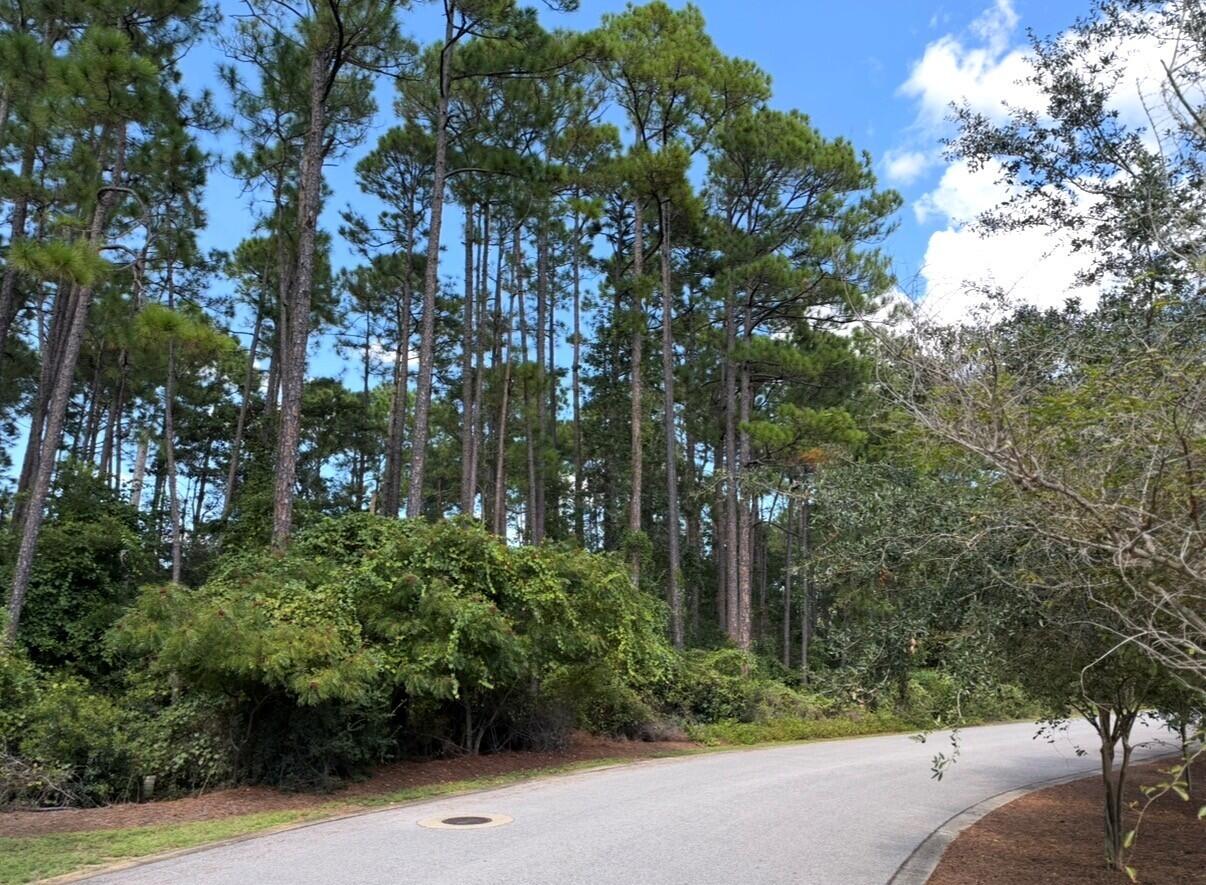 This exceptional lot offers the perfect opportunity to build your dream home in a peaceful coastal setting. Located in the desirable X Flood Zone, providing added peace of mind. Enjoy the convenience of being within walking distance of the bay, while Cessna Landing Park and Boat Launch and Pilcher Park Boat Ramp are just minutes away, making it easy to spend your days on the water. You're also only minutes from Ed Walline Beach Access and the world-famous 30A corridor, where you'll find an incredible selection of shopping, dining, entertainment, and the beautiful white sand beaches that make this area so sought after. The property is also conveniently located near the site of the proposed 10,000-seat amphitheater, an exciting planned addition to the area that could further enhance nearby entertainment and amenities if completed. Whether you're planning a primary residence or second home, this is a rare opportunity to secure one of the last available parcels in this desirable community.