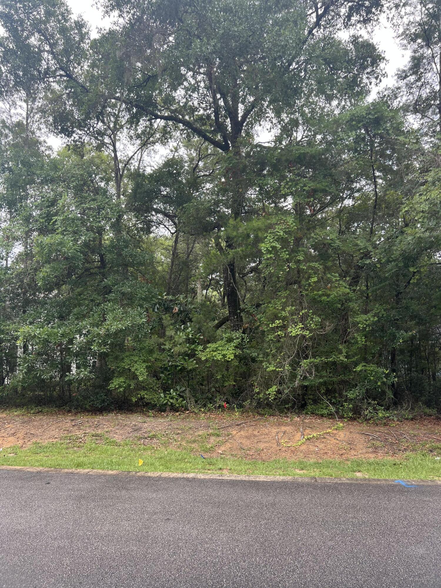 MAGNOLIA BAY ESTATES - Land