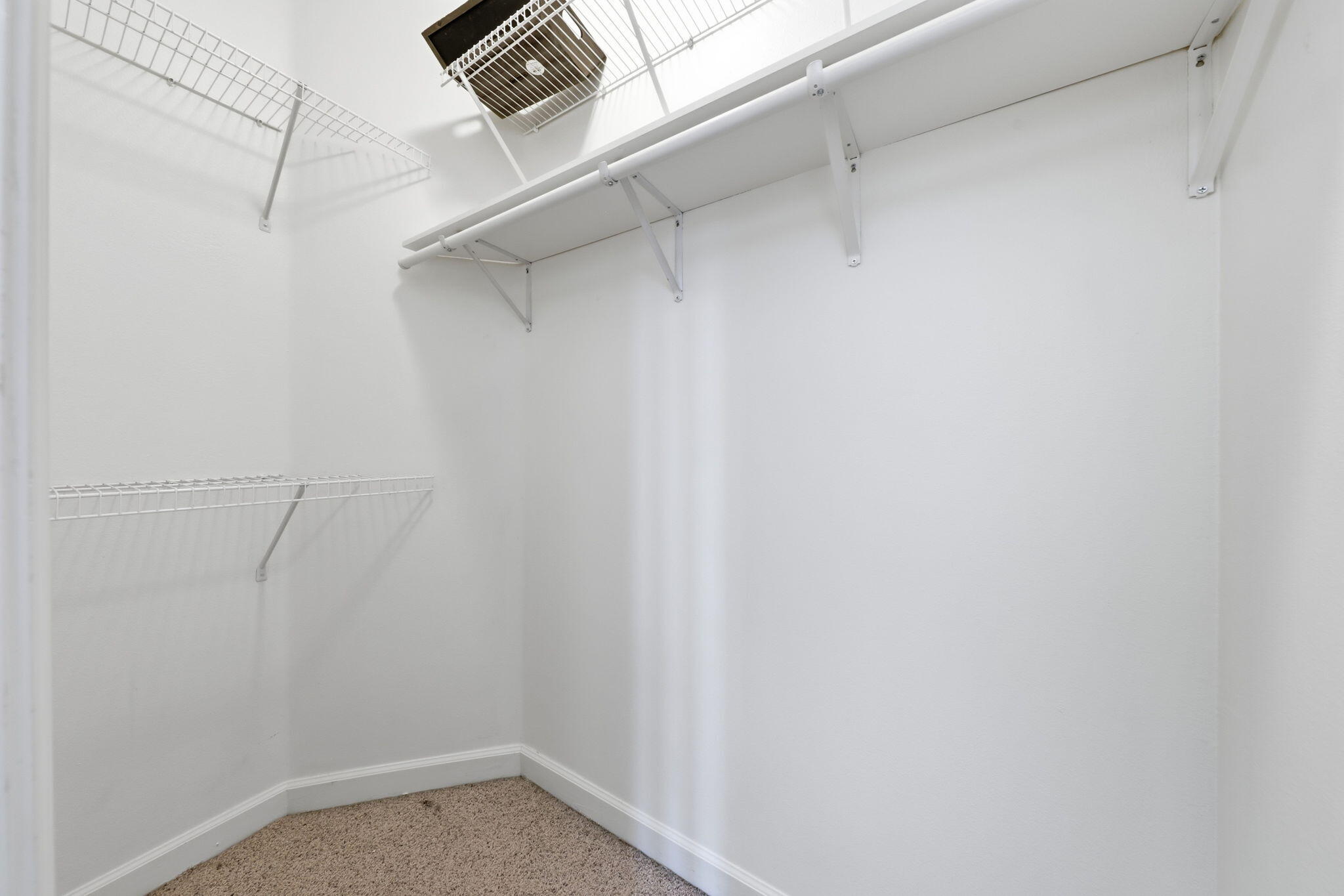 TIGER TRACE - Residential
