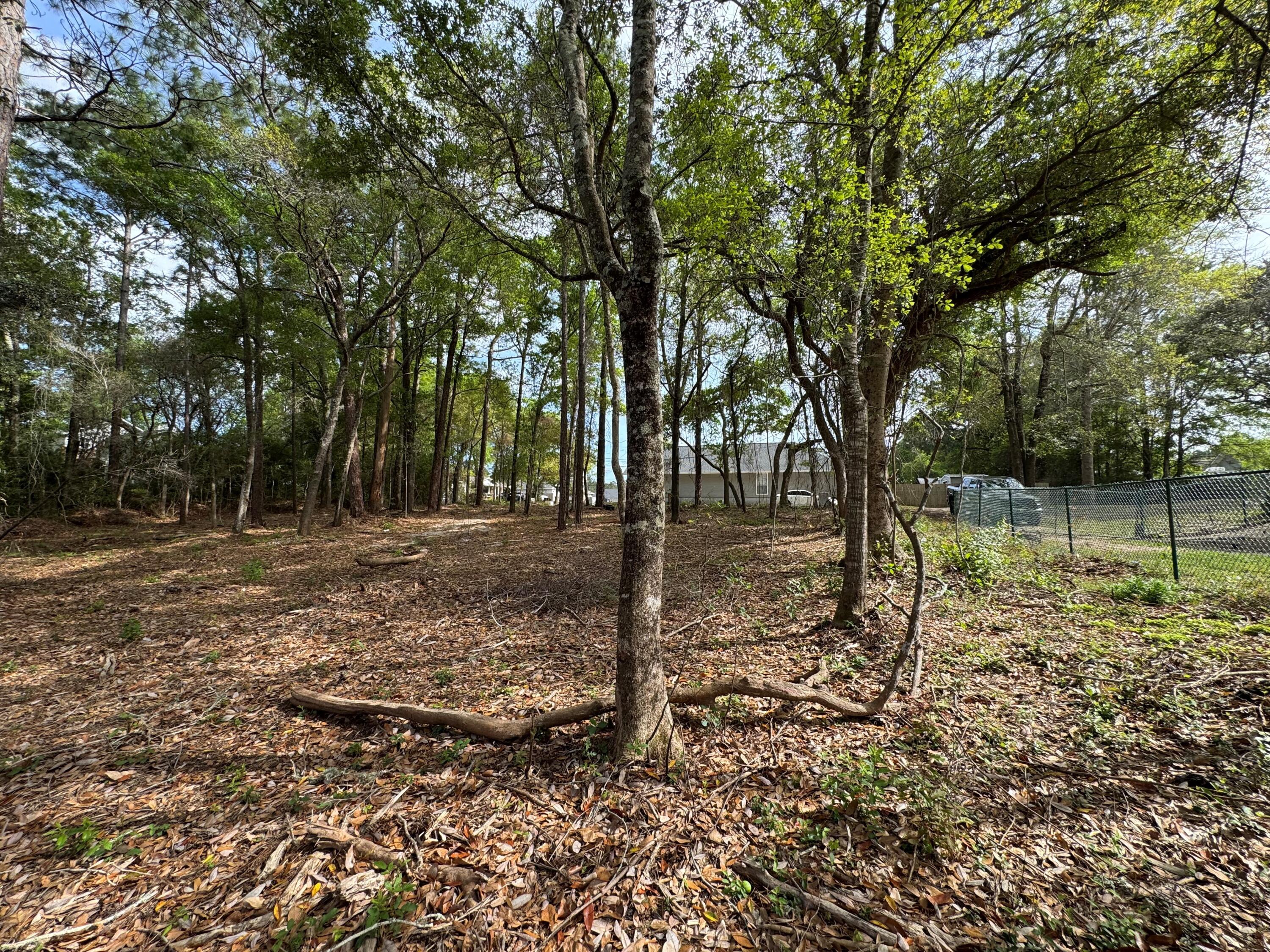 AVALON PARK - Land