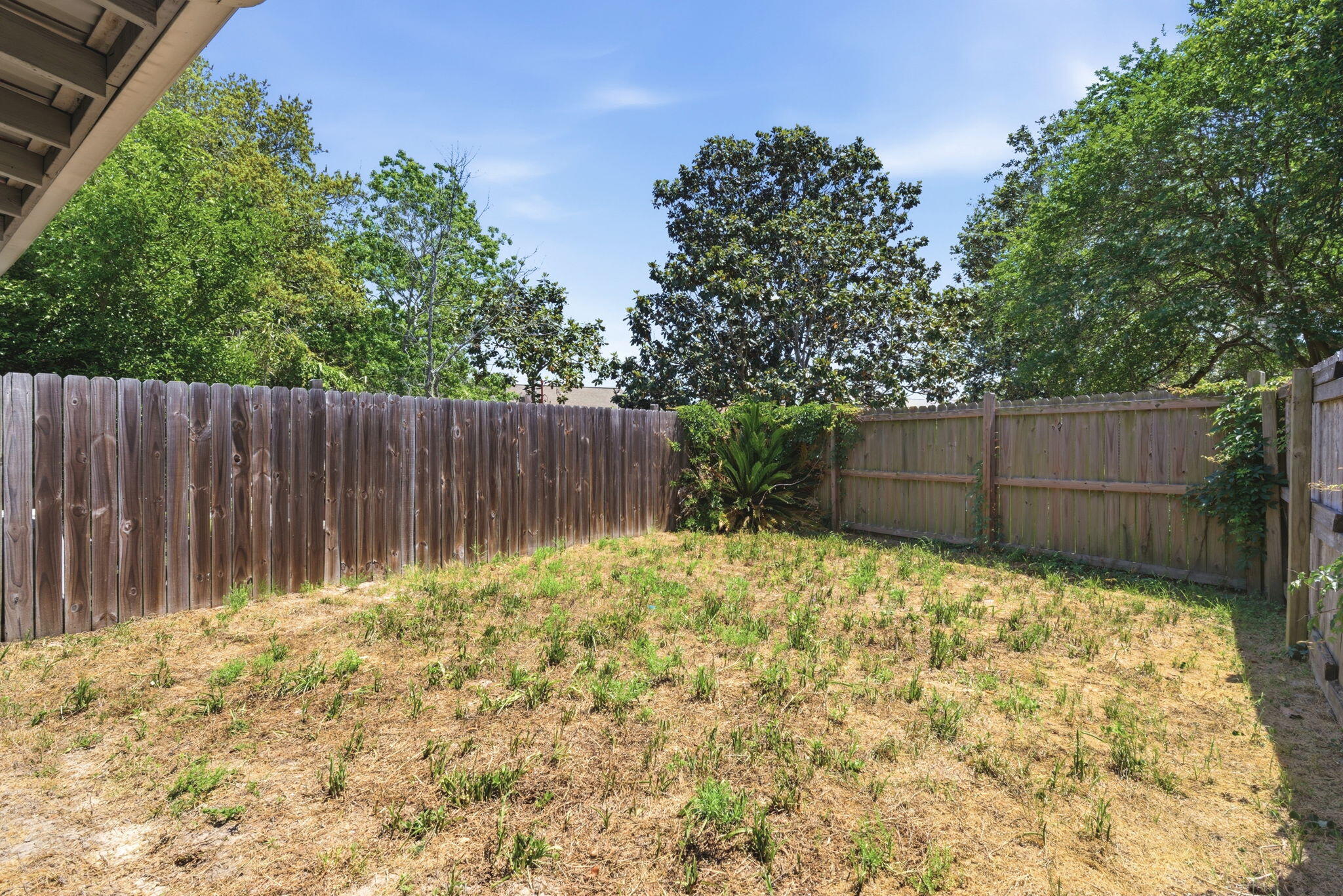 PINE RIDGE - Residential Lease