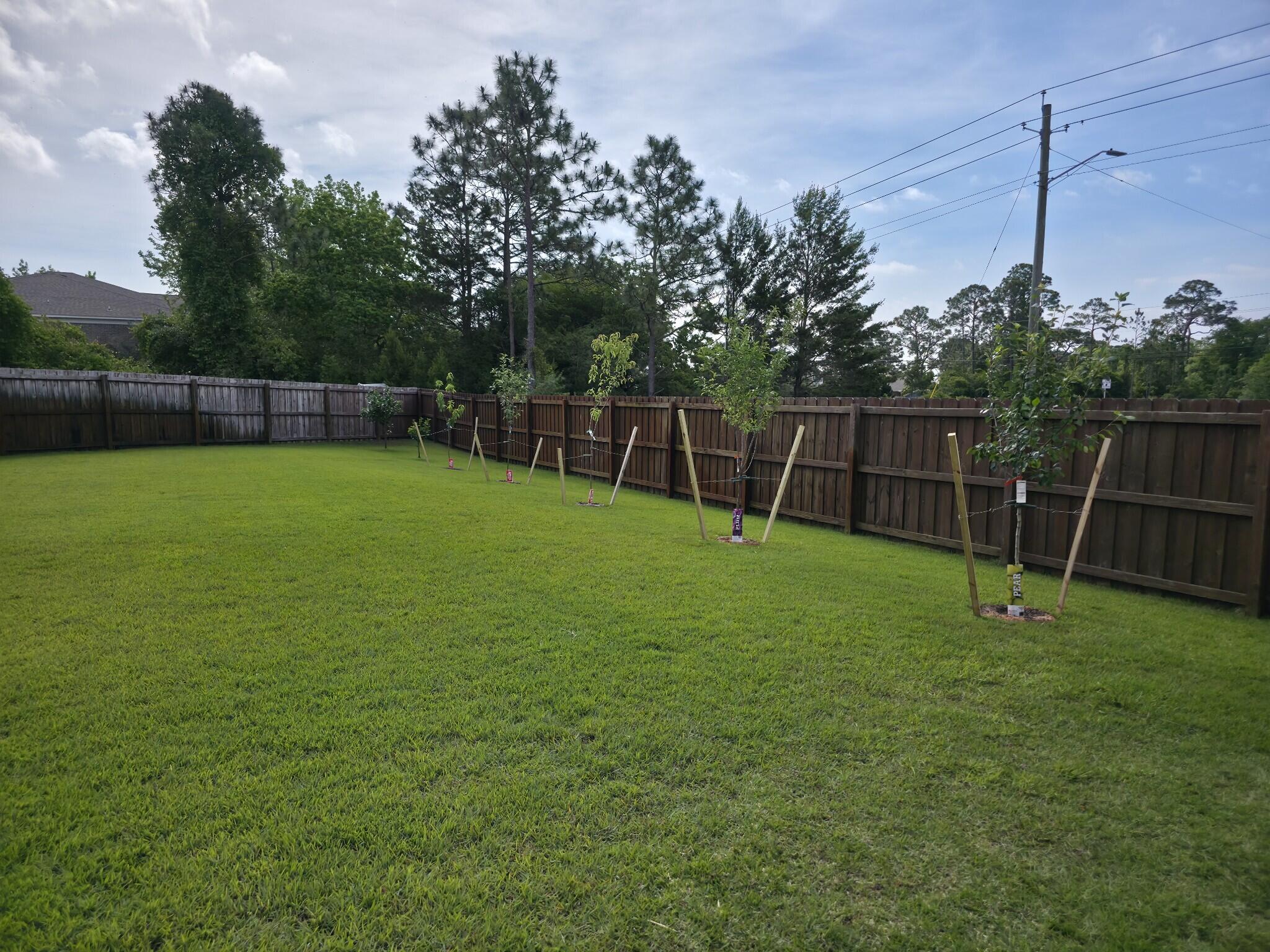 Cambridge Park - Residential