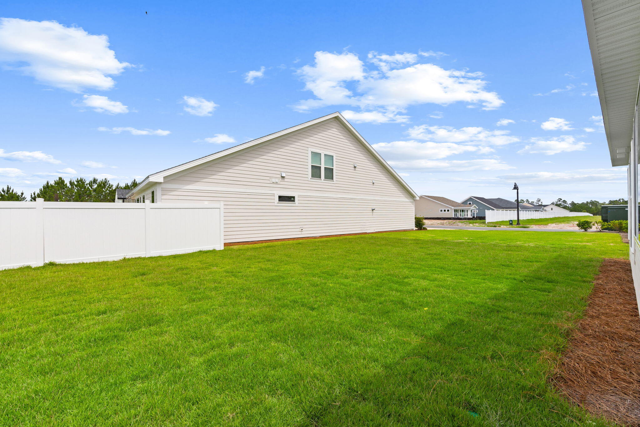 Salt grass at ward creek - Residential