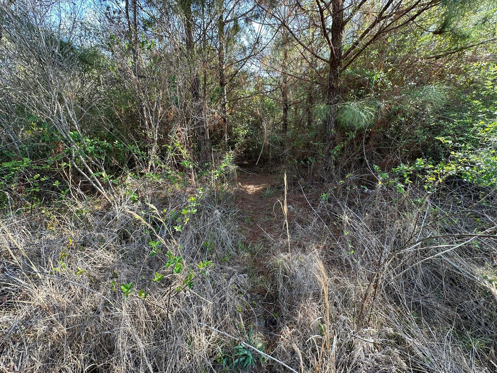 NO RECORDED SUBDIVISION - Land