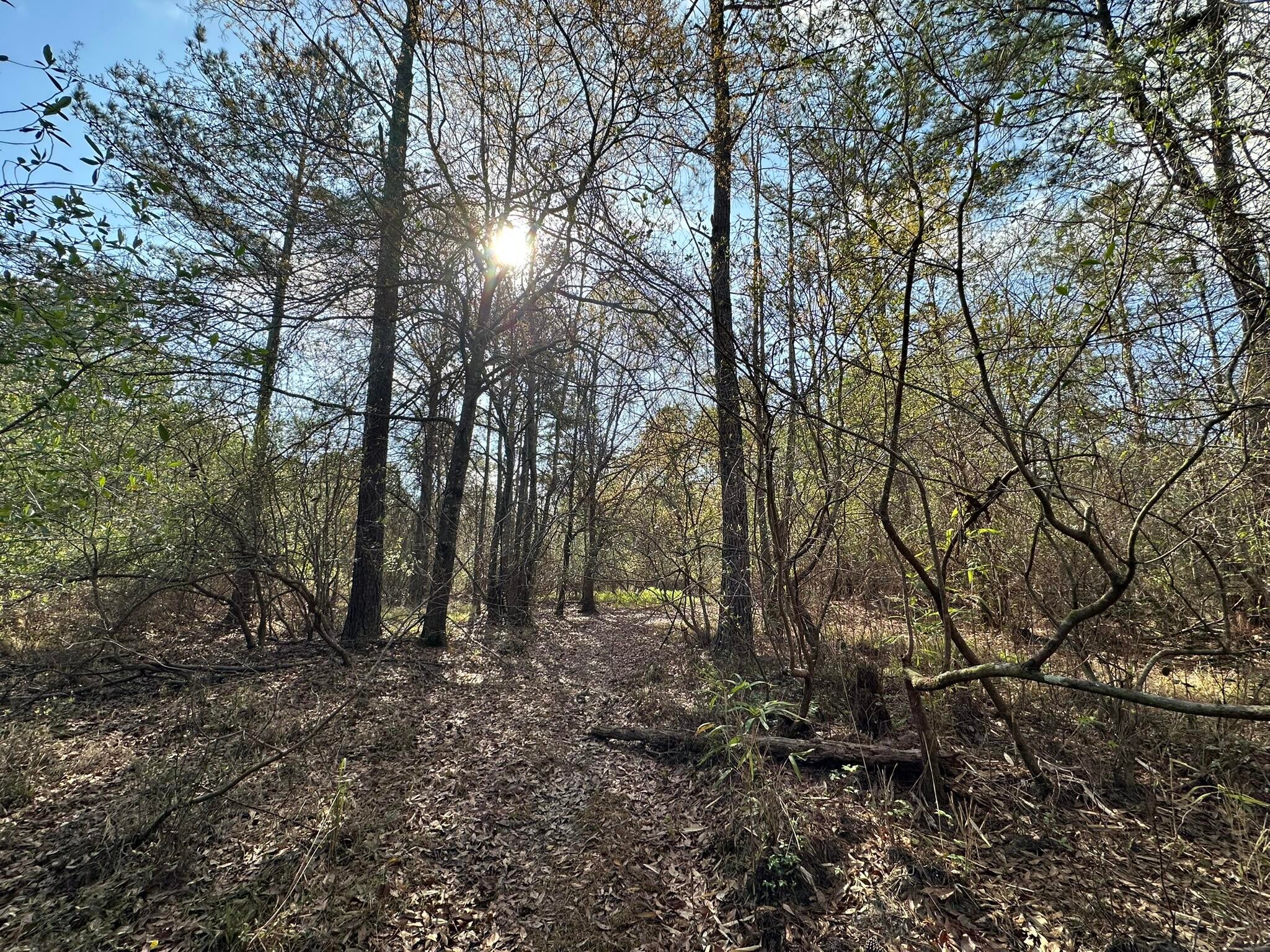 NO RECORDED SUBDIVISION - Land