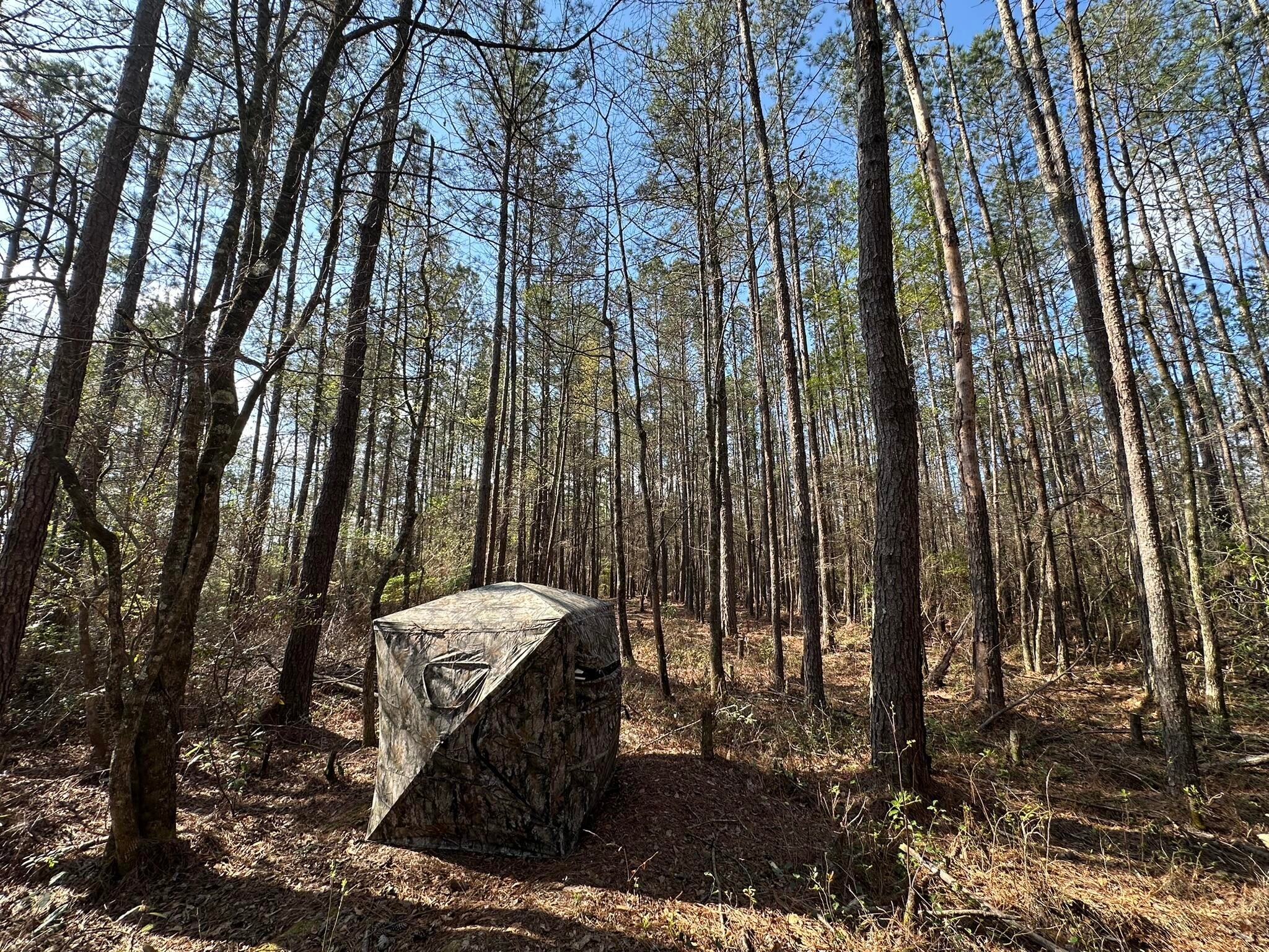 NO RECORDED SUBDIVISION - Land