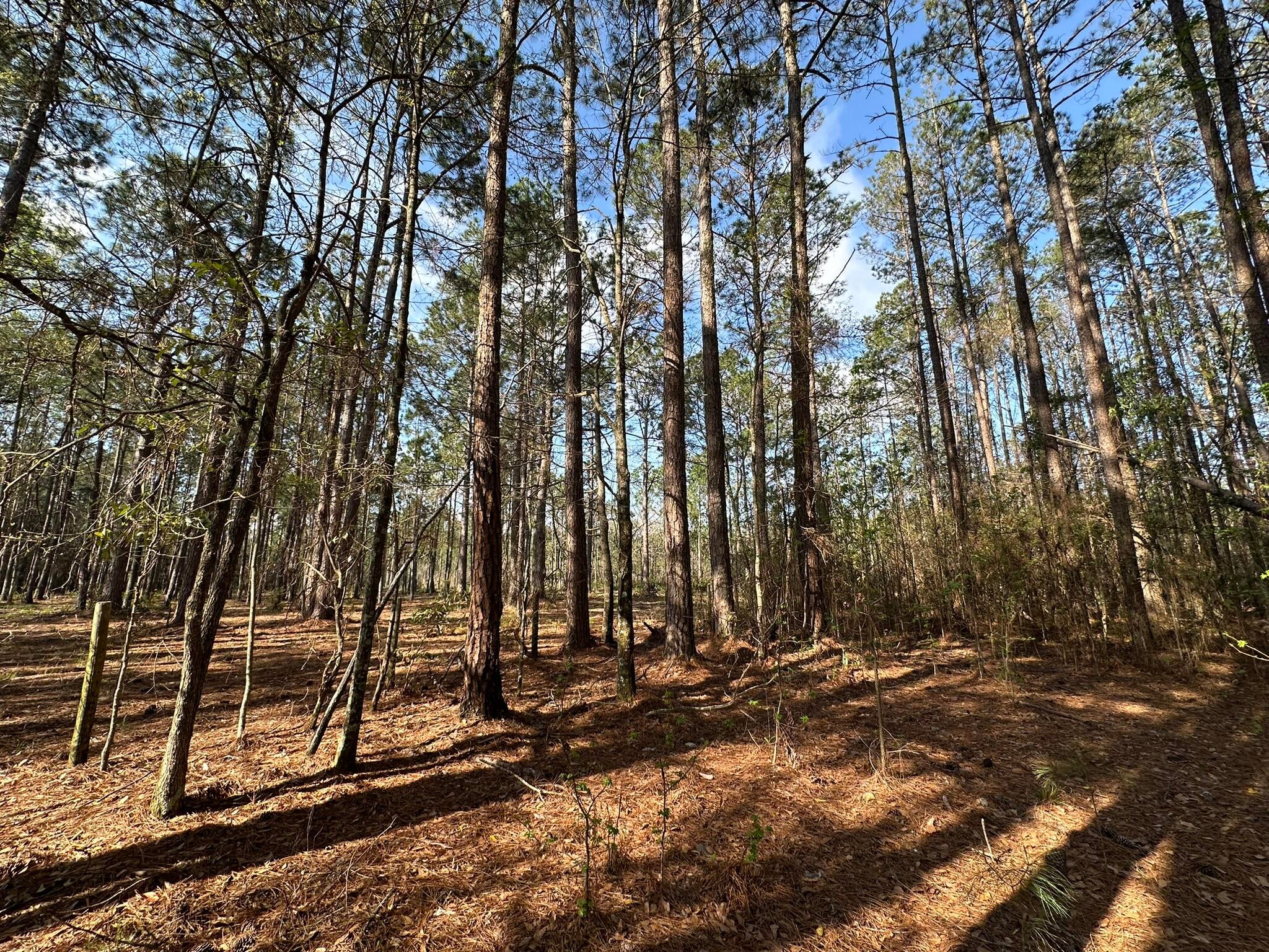 NO RECORDED SUBDIVISION - Land