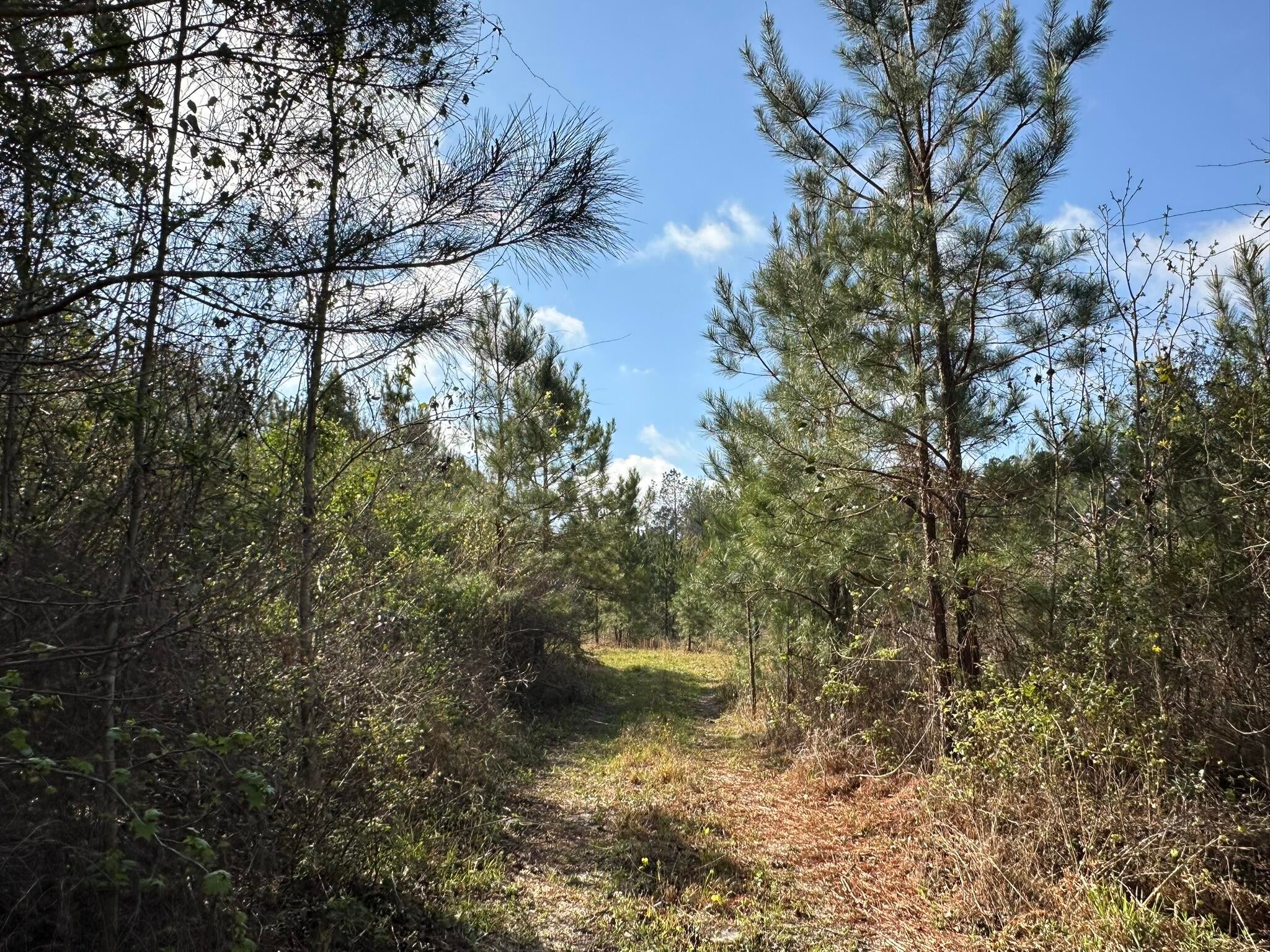 NO RECORDED SUBDIVISION - Land
