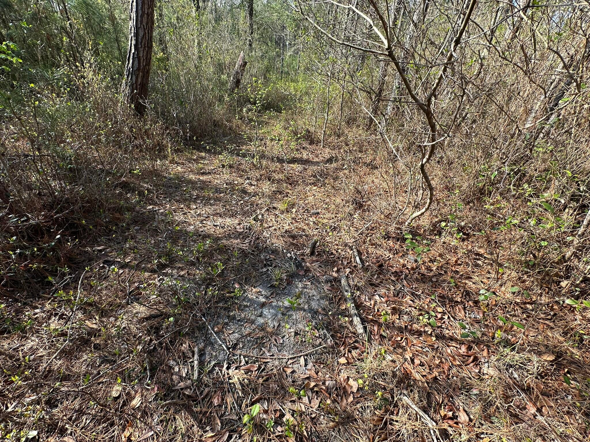 NO RECORDED SUBDIVISION - Land