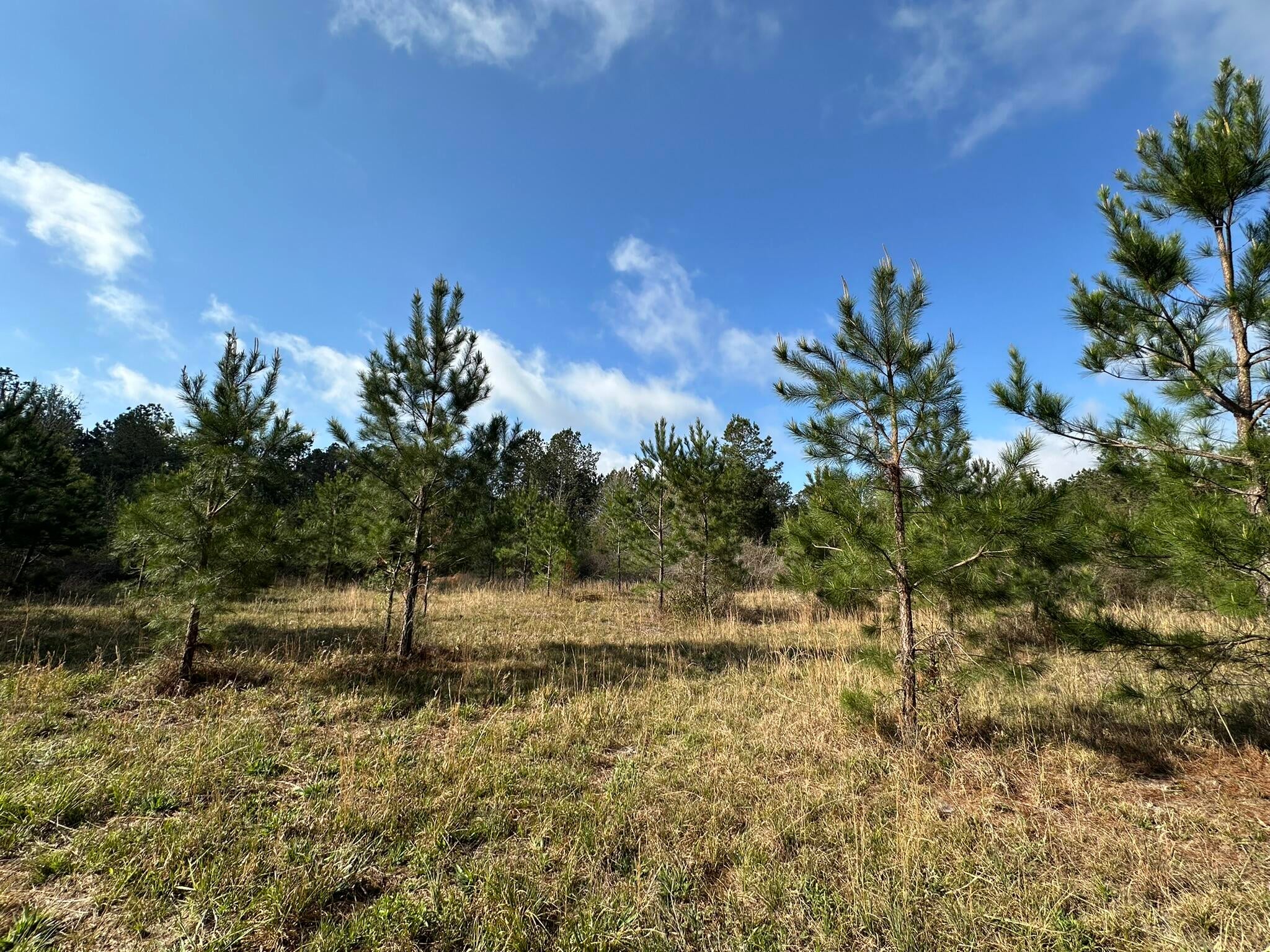 NO RECORDED SUBDIVISION - Land