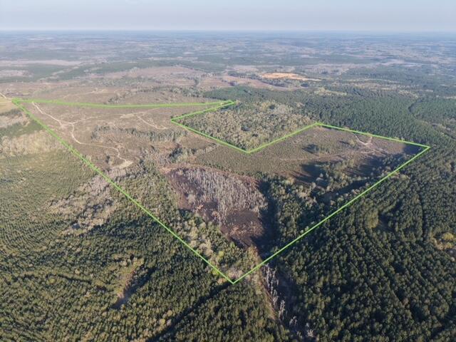 198 +/- acres in Holmes County offering excellent deer and turkey hunting. Ideal recreational tract with privacy, abundant wildlife, and endless outdoor opportunities.