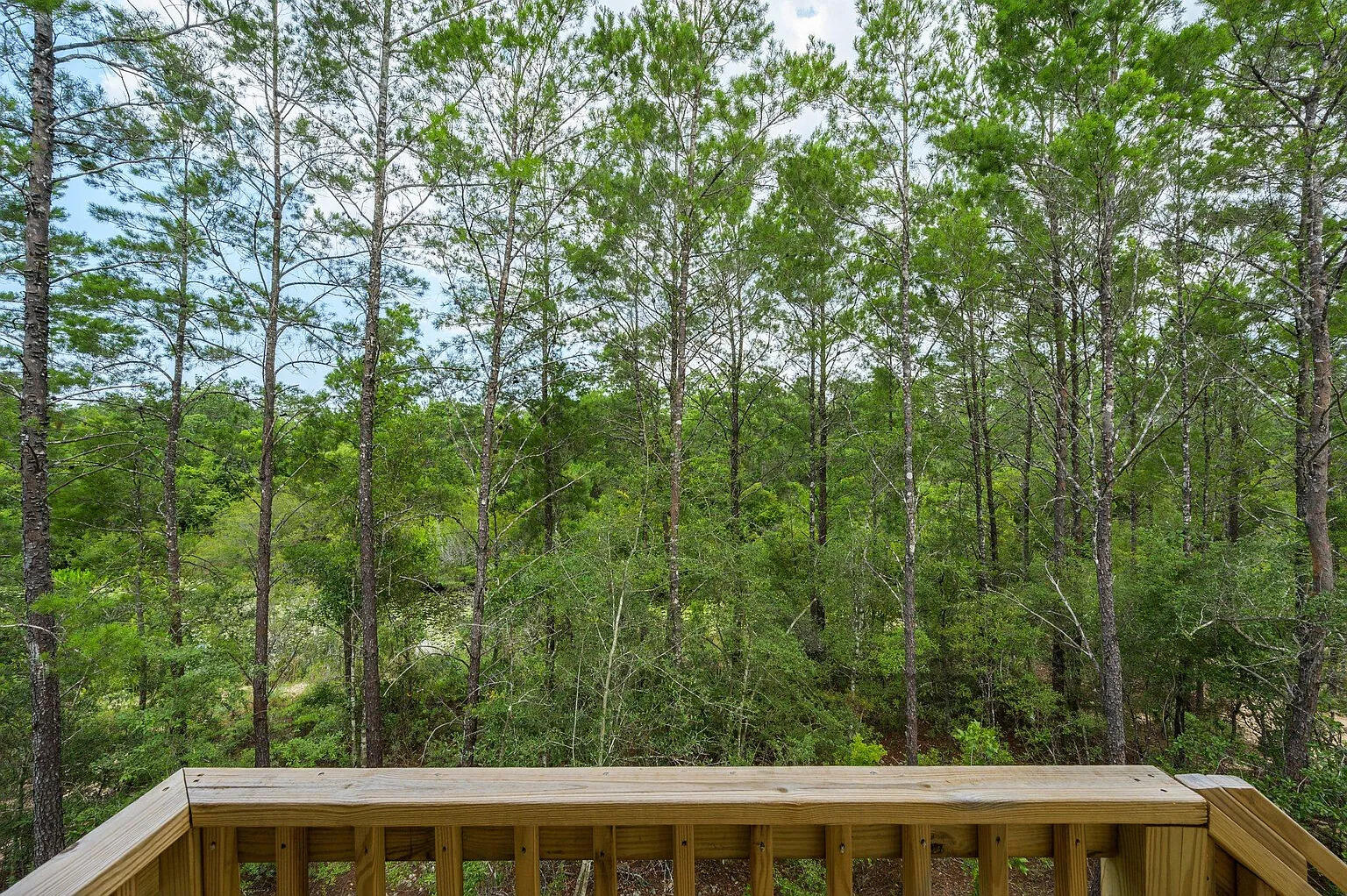 Hammock Oaks Estates - Residential