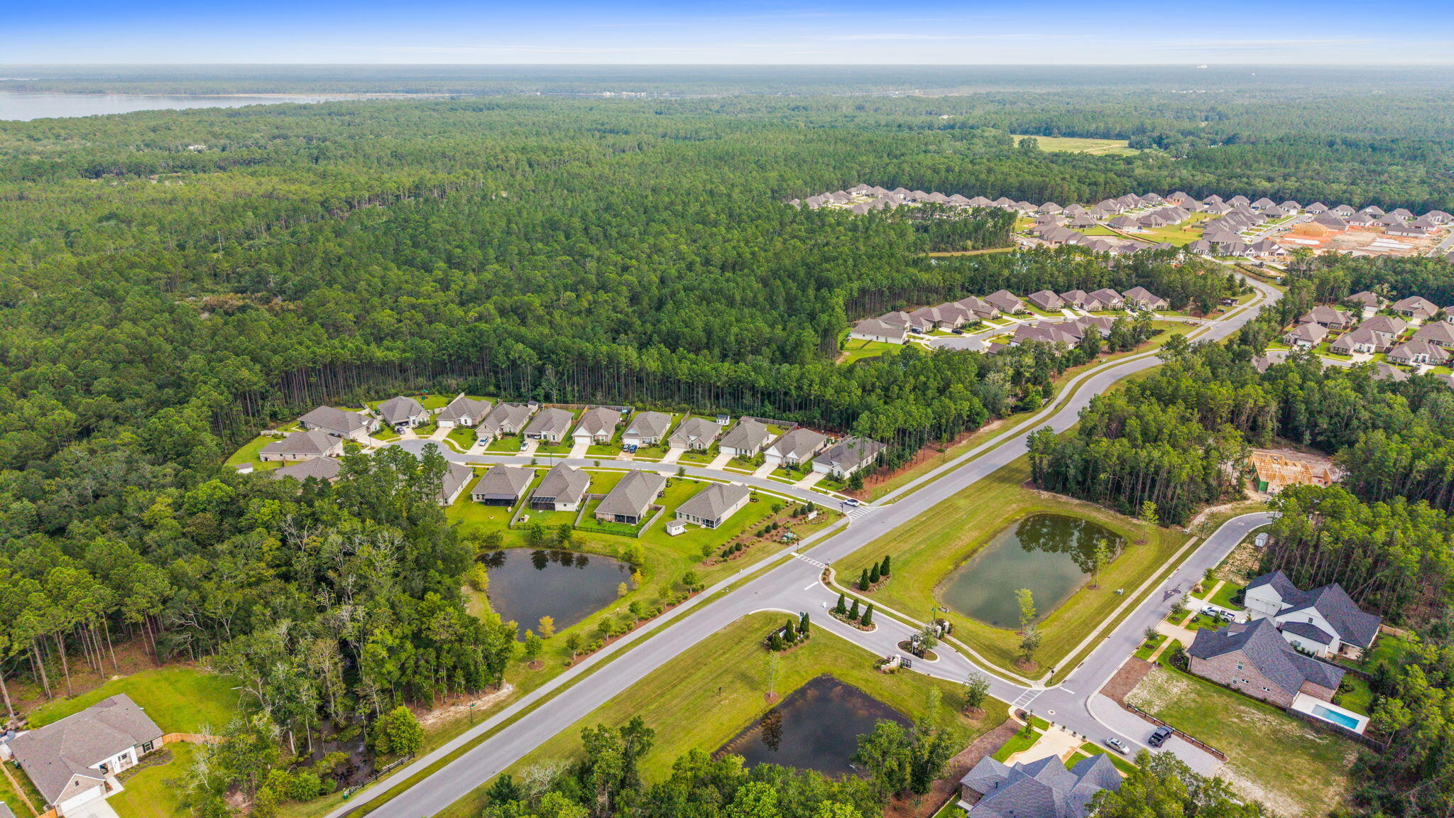 BLISS AT HAMMOCK BAY - Residential