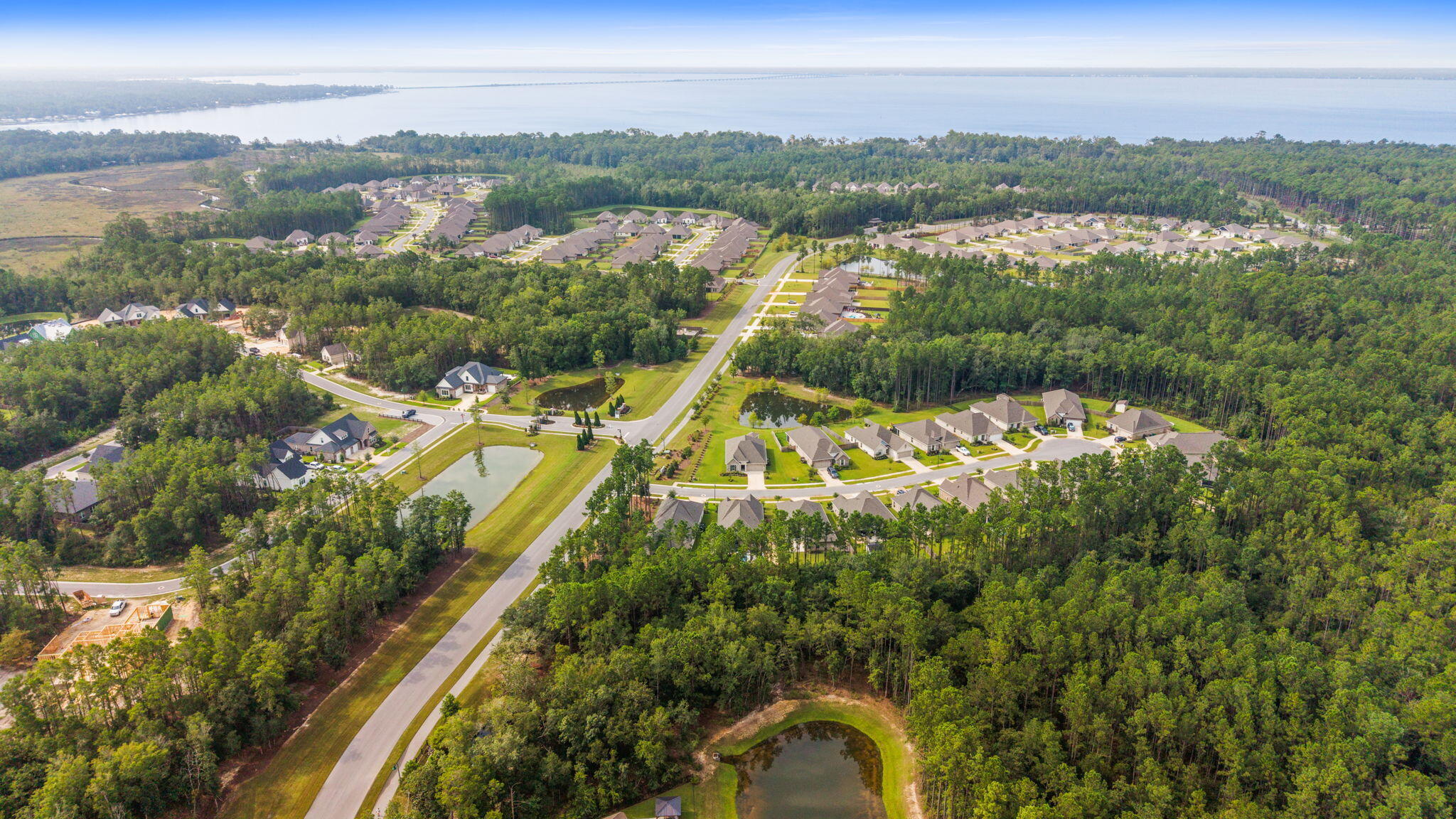BLISS AT HAMMOCK BAY - Residential