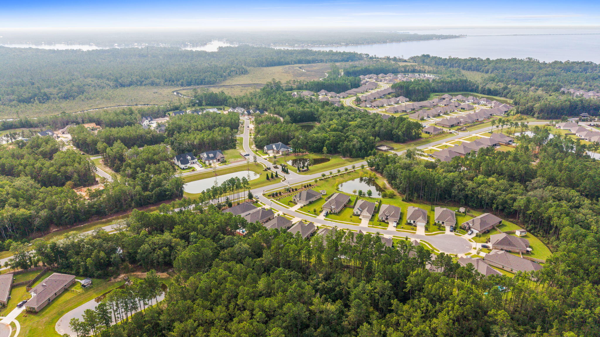 BLISS AT HAMMOCK BAY - Residential