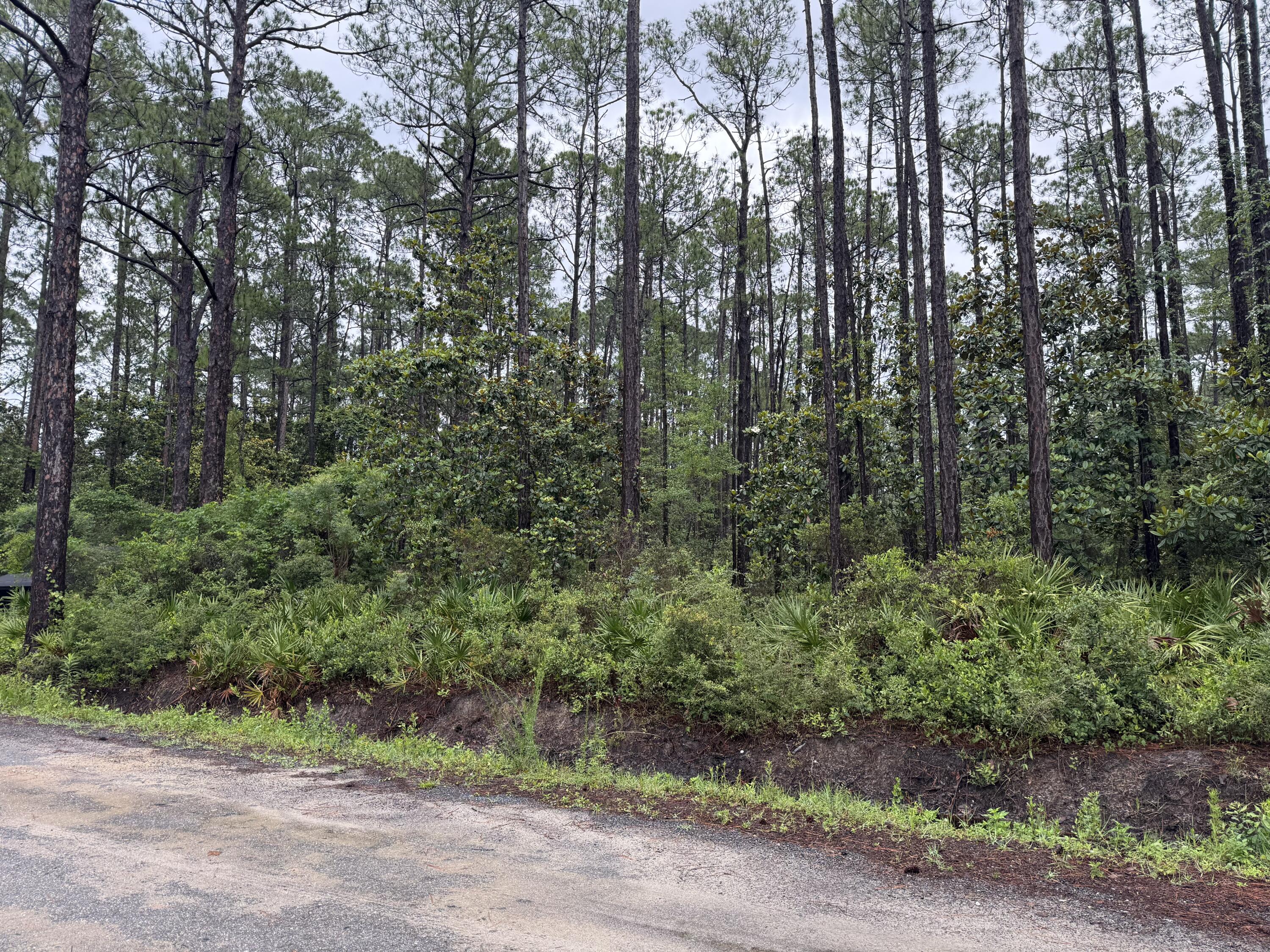 Build Your Florida Dream in Santa Rosa Beach! Situated on a generous .43-acre homesite in north Santa Rosa Beach, this property offers the perfect blend of convenience and location. Utilities are available, and you'll be just minutes from the sugar-white sand beaches of the Emerald Coast, local restaurants, shopping, entertainment, Cessna Landing, and the marina.
Hop on Highway 331 for easy access throughout the area, or take a short drive down Highway 393 to enjoy the beach, Gulf Place, and everything that makes the 30A lifestyle so desirable. Whether you're planning a primary residence, second home, or investment property, this homesite offers plenty of possibilities in one of the area's most sought-after locations.
Buyer to verify all information deemed important.