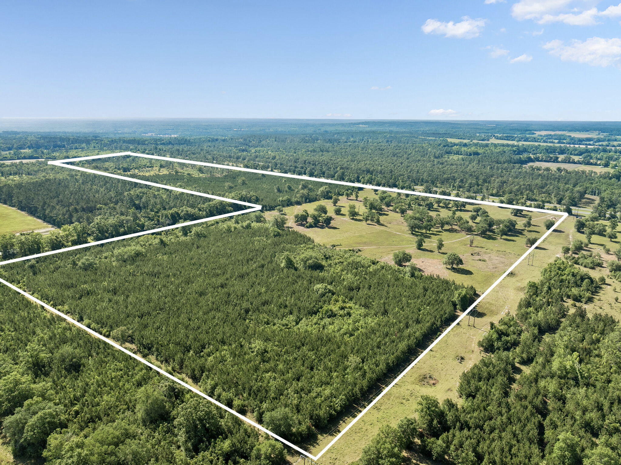 Here is your opportunity to own 140 acres of land in Chipley, Florida just an hour north of the beaches of South Walton. This beautiful tract is a combination of pastures, planted pines, hardwoods and olive orchard. It offers an array of opportunities; farming, raising livestock or chickens, hunting or recreation. The olive orchard is a unique feature giving you the opportunity to harvest olives for your very own olive oil. A clay gravel pit in one corner of the property comes in handy for road maintenance. The pastures have been maintained with little grazing in the past. The property is just off of I-10 so it is easily accessible. Whether you are looking for an opportunity for your very own farm or just a weekend getaway, this is the place.