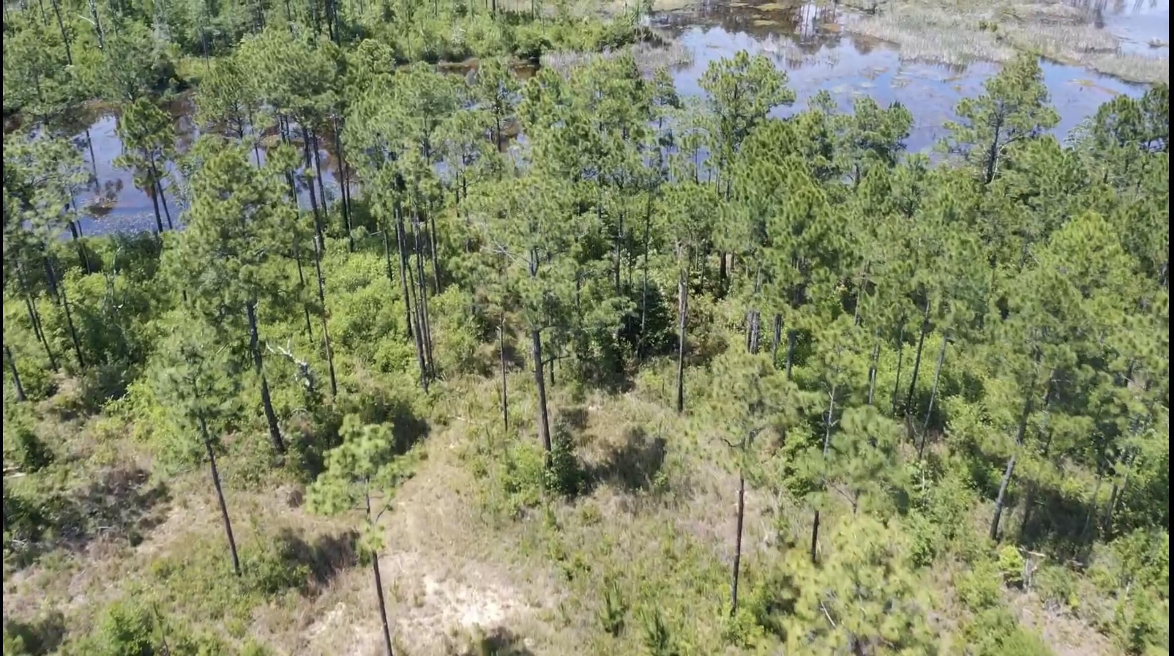 iscover the possibilities at Lot 57 Tidal Bay Drive in Milton, Florida. This beautiful 1.36-acre homesite offers a rare opportunity to create your dream property with plenty of space and flexibility. Backing up to the bayou, the lot provides the potential for water access and a peaceful natural setting that combines privacy with waterfront living. Whether you're looking to build a custom home, create a private retreat, or invest in a growing area, this property serves as a true blank canvas for your vision. For buyers seeking even more space, the adjacent lot is also available for purchase, creating the opportunity to own more than 3 acres combined. Enjoy the freedom of country-style living while remaining conveniently located near shopping, dining, schools, and everything the Milton and Pensacola areas have to offer. Opportunities like this don't come around often--bring your builder and start planning your future today.