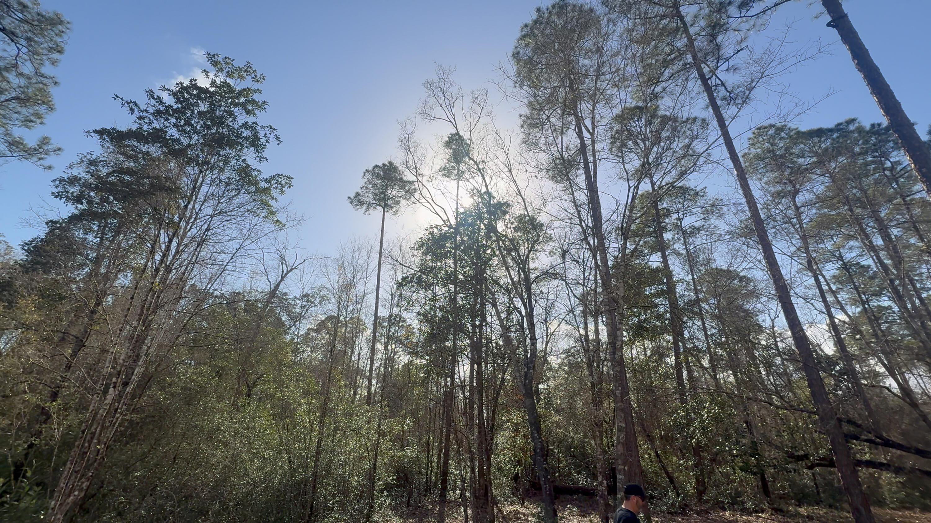 None - Land