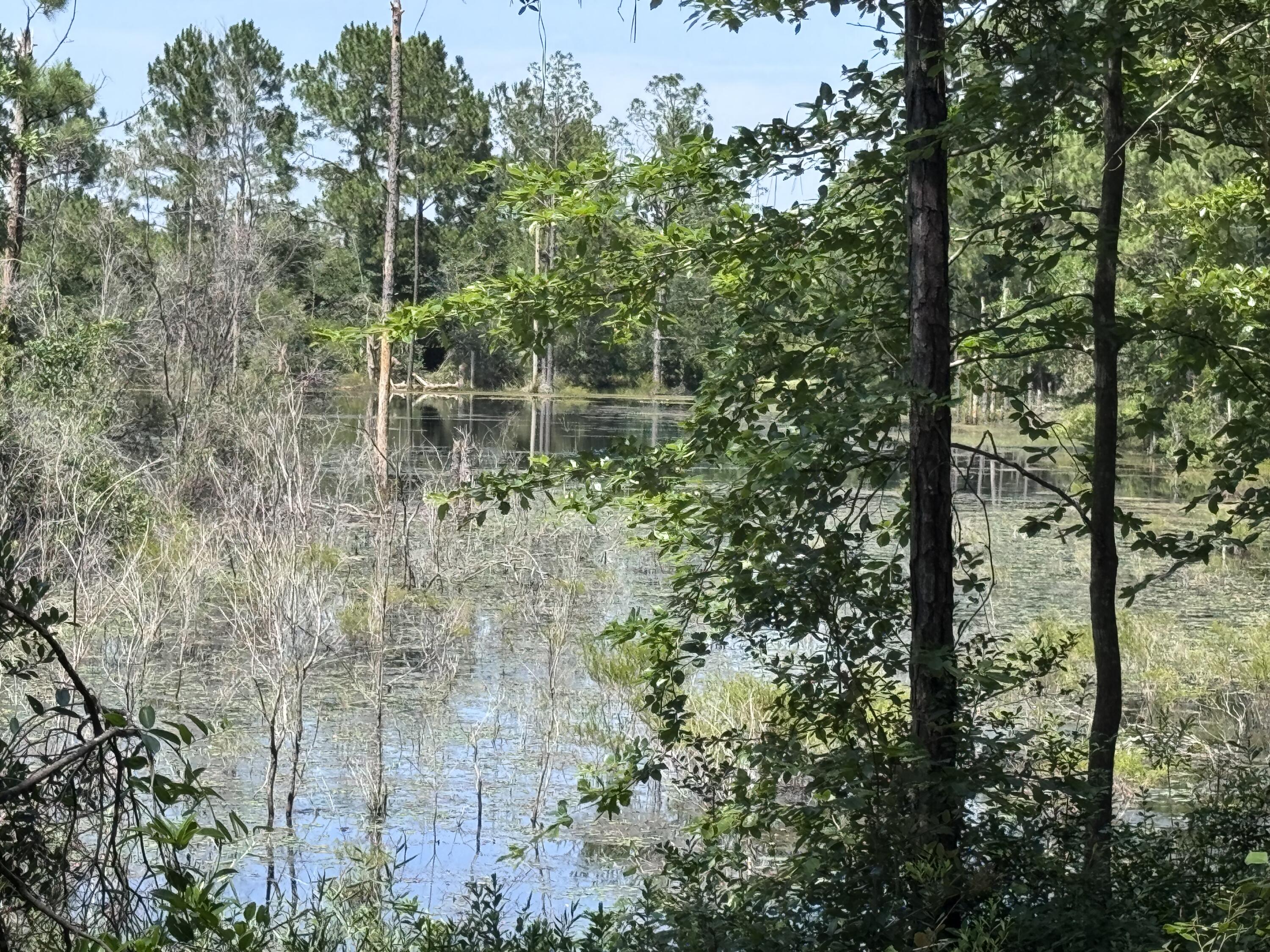 OAKWOOD LAKES ESTATES - Residential