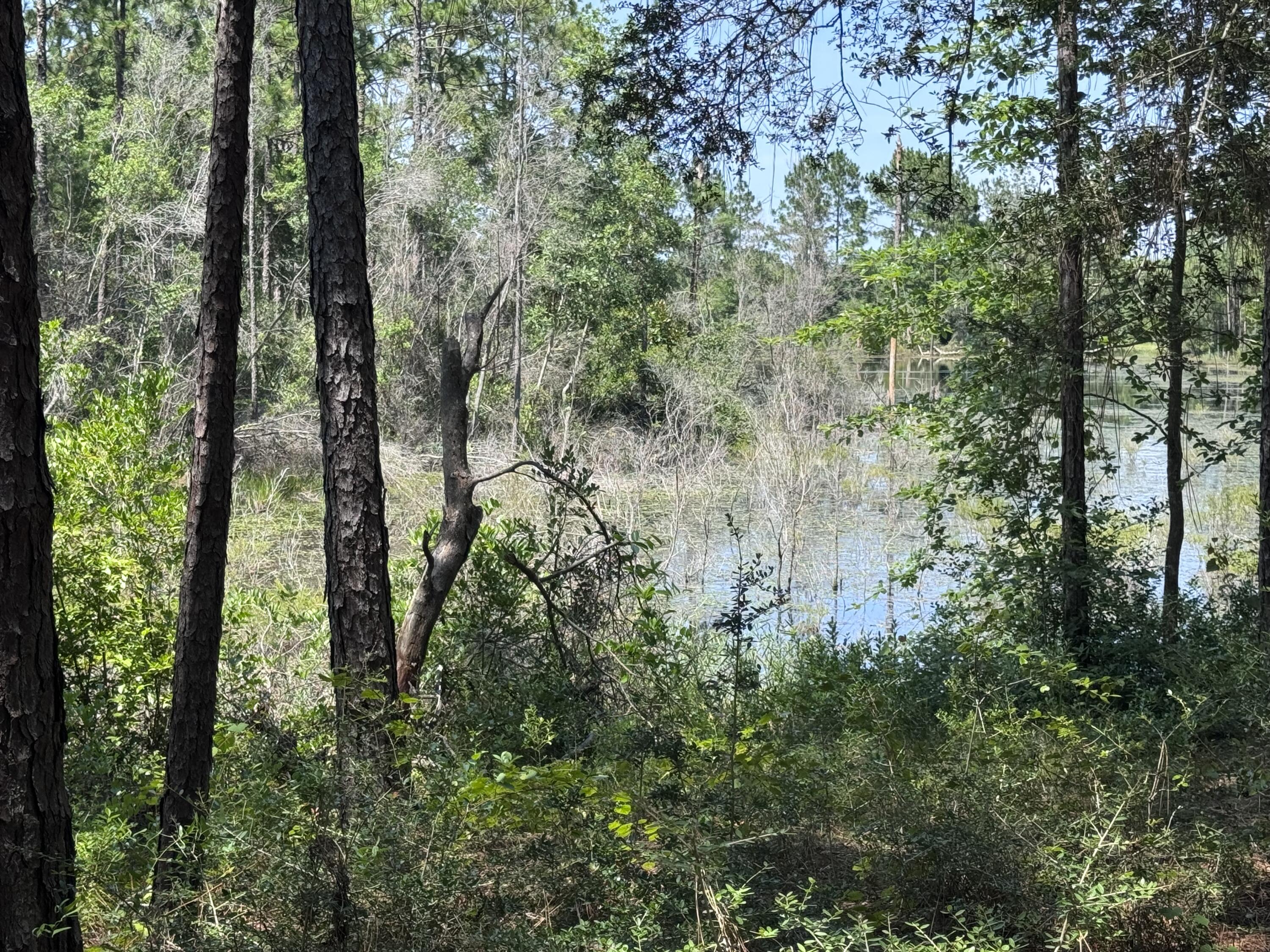 OAKWOOD LAKES ESTATES - Residential