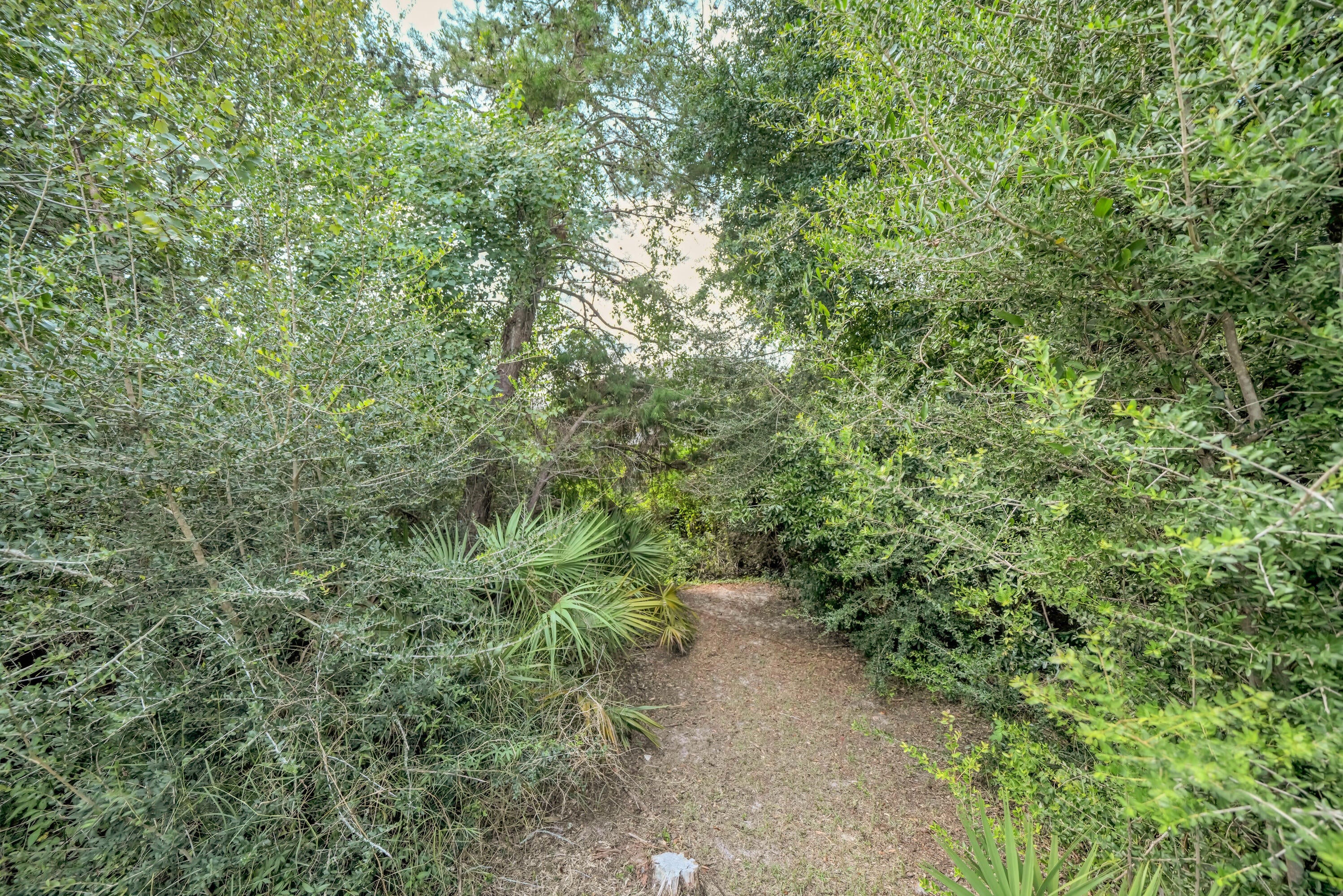 SHADOW LAKES - Residential
