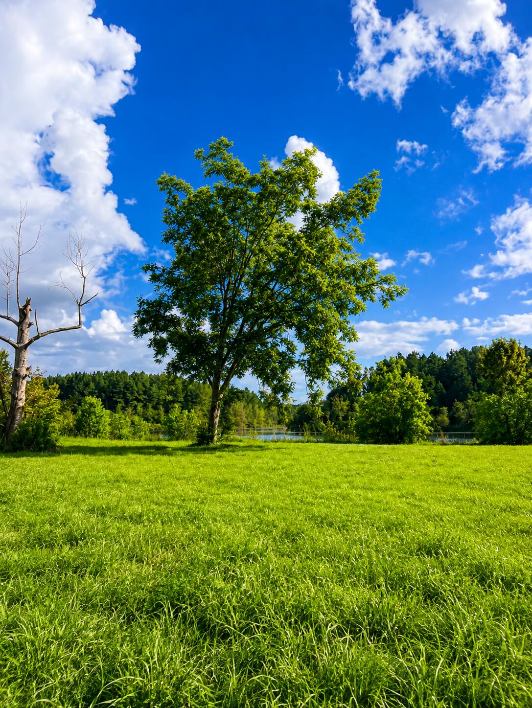 221000.00 - Land