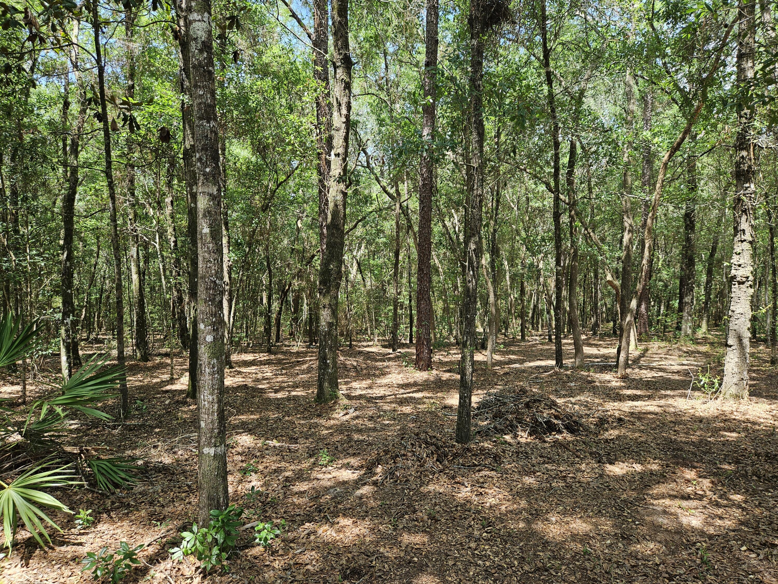 INDIAN SPRINGS - Residential