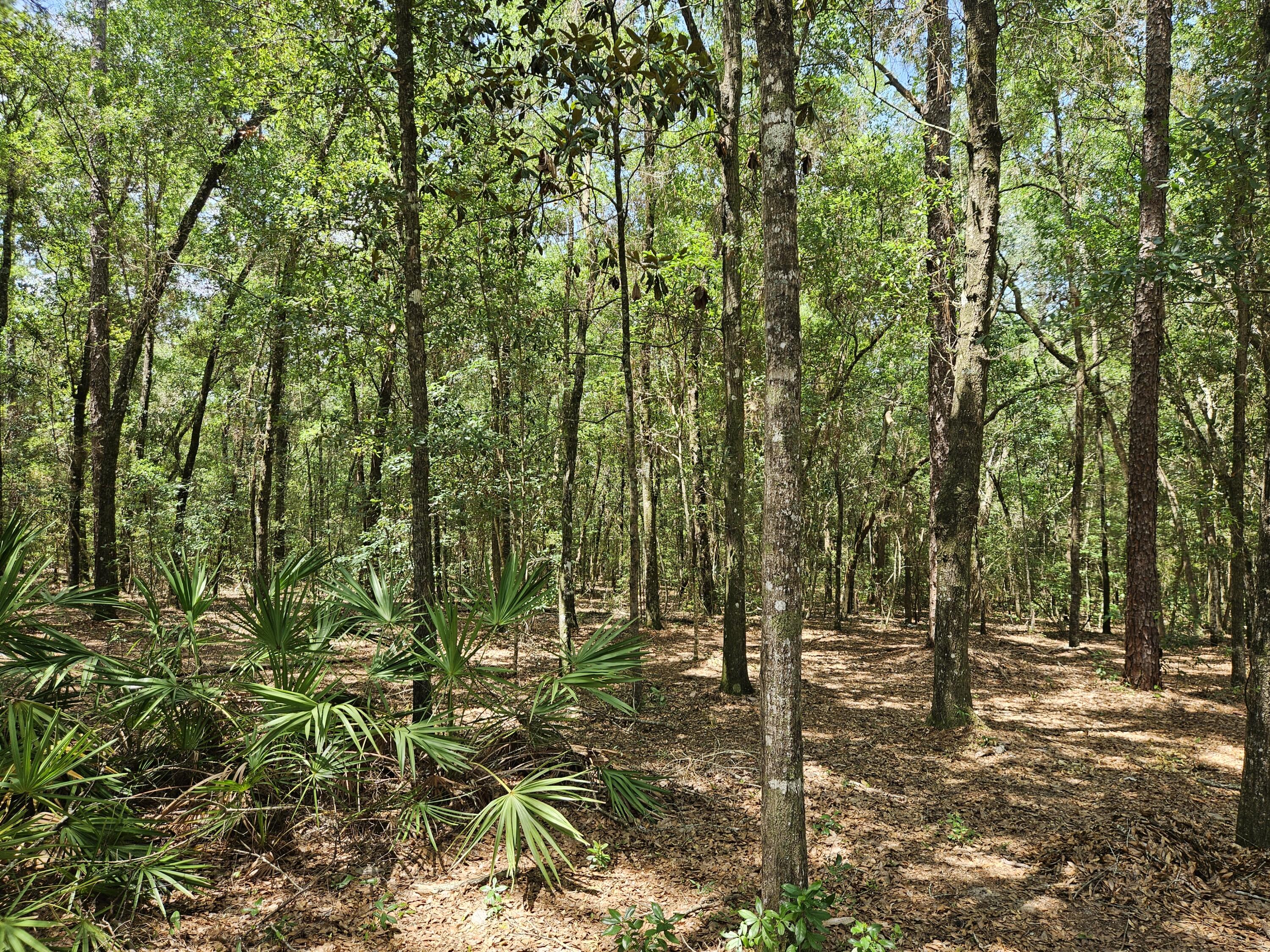 INDIAN SPRINGS - Residential