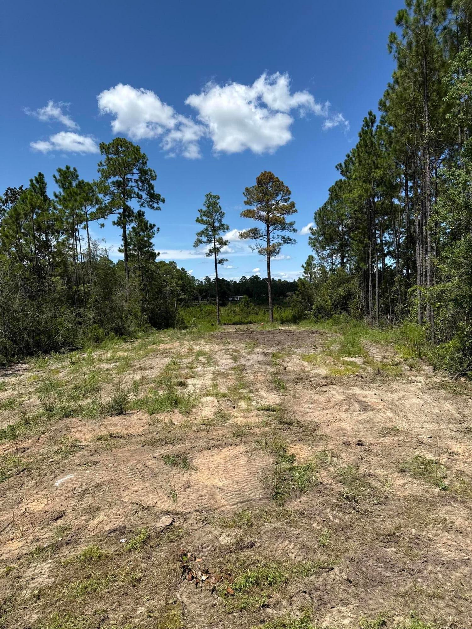 LAKE ROSEMARY SOUTH - Land