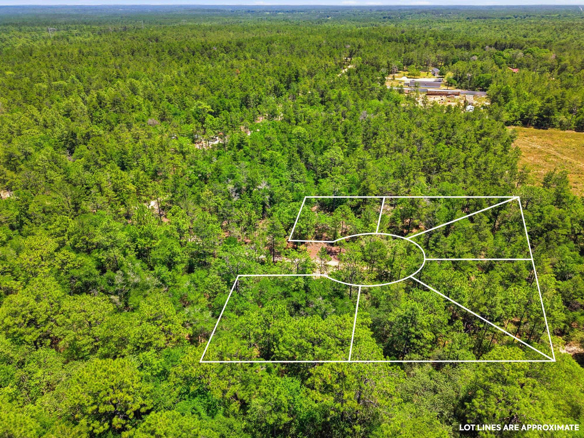 PRICE REDUCTION ......SIX (6) undeveloped lots totaling 1.53 acres that are platted and strategically located on a cul-de-sac in this fast-developing community of Mossy Head.  Each lot has its' own parcel ID #. Great for the Builder/Developer or for that savvy investor that can envision development and future opportunities. Survey is available in the documents.  There is no HOA, and the location is serene and beautifully quiet. Perfect blend of peaceful, natural surroundings with convenient access to the area's best amenities.  White sand beaches, excellent fishing, swimming and recreational opportunities galore await your enjoyment, and they are all within a short drive. Take advantage of this excellent opportunity and enjoy the many pleasures of the Emerald Paradise that is Walton County.  There is a survey map nailed to a tree at the location for easy understanding of the property,