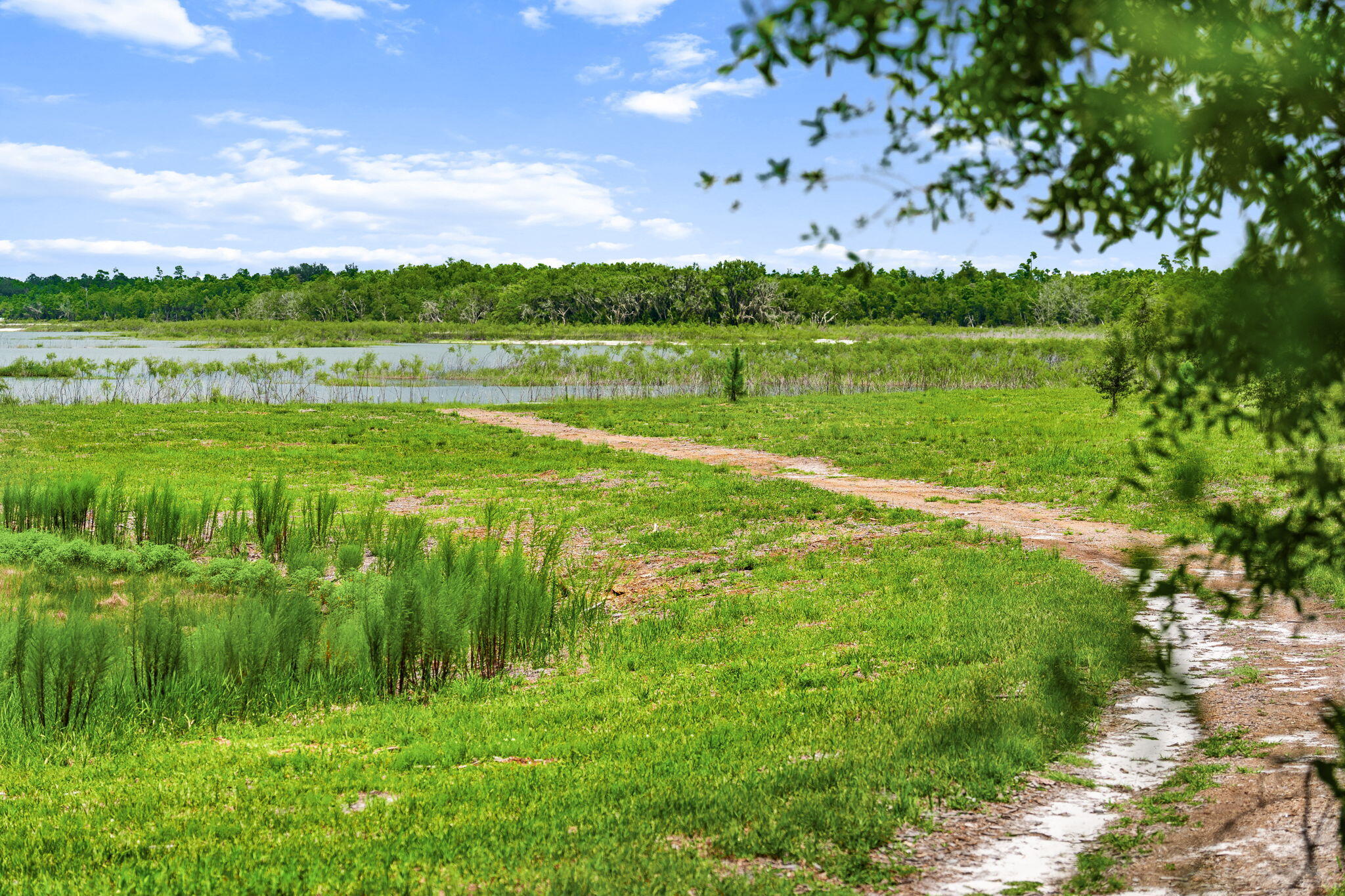 LAKE MERIAL - Residential