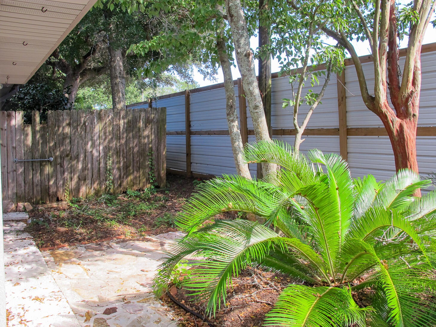 Liveoak T/H - Residential Lease
