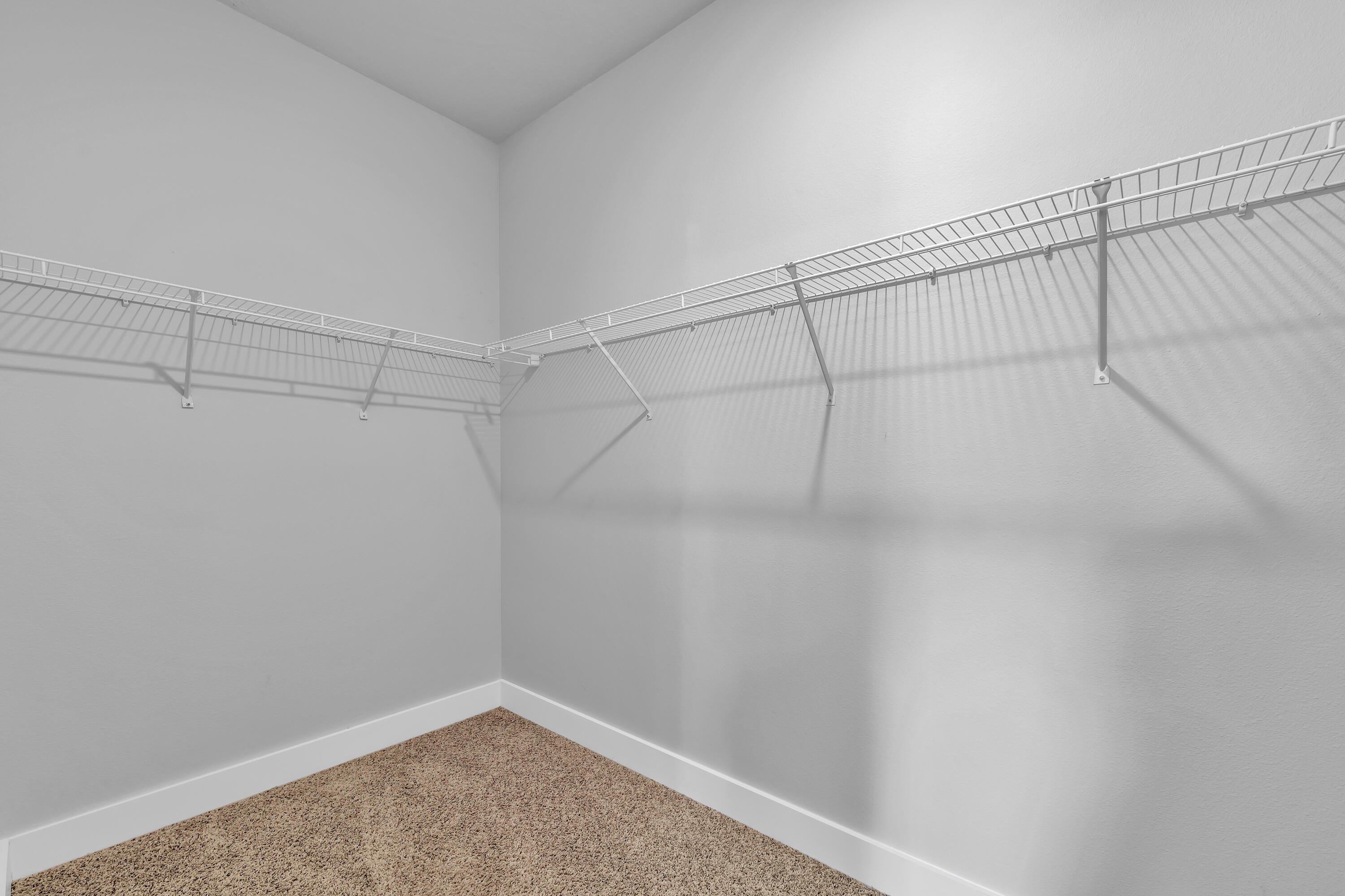 CAMELLIA COVE - Residential Lease