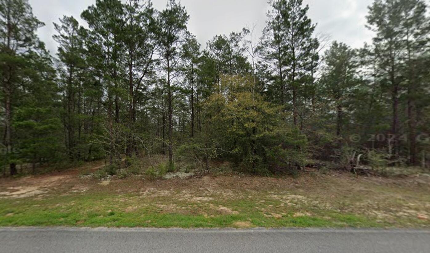 Escape to Your Private Wooded Sanctuary
0.23 Acres | No HOA | Mobile Home Friendly

Looking for a slice of seclusion without being cut off from the world? This beautifully wooded .23-acre lot tucked between DeFuniak Springs and Mossy Head offers the perfect balance of rural peace and modern convenience. Whether you're looking to build a custom cabin or move in a mobile home, this property provides the freedom you've been searching for.

Property Highlights
Ultimate Freedom: No HOA and minimal restrictions mean you can truly make this space your own.

Prime Build Site: High and dry in Flood Zone X, with no apparent wetlands per Walton County GIS mapping.

Utilities: Ready for your vision! Requires well and septic; power is conveniently located nearby for easy connection.
 Perfectly Wooded: Mature trees provide natural privacy and a stunning Florida landscape.

Location & Commutability
Strategically located with easy access to I-10 and CR 285, this lot is a commuter's dream. You can enjoy the quiet of the country while remaining within 30-45 minutes of major regional workplaces.

Beach Access: Just a short drive to the world-famous white sands of the Emerald Coast.

Weekend Fun: Quick access to Crab Island and the vibrant Destin area.

Convenience: Perfectly positioned between the historic charm of DeFuniak Springs and the growing Mossy Head hub.

Note: Information is deemed accurate but not guaranteed. All dimensions are approximate per CRS Property Data Report. Buyer to verify all details.