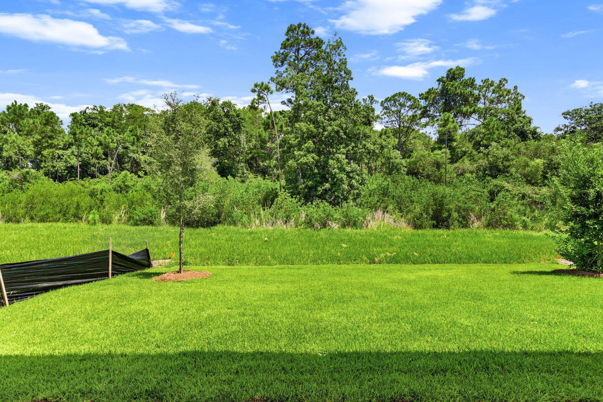 Breakwater at Ward Creek - Residential