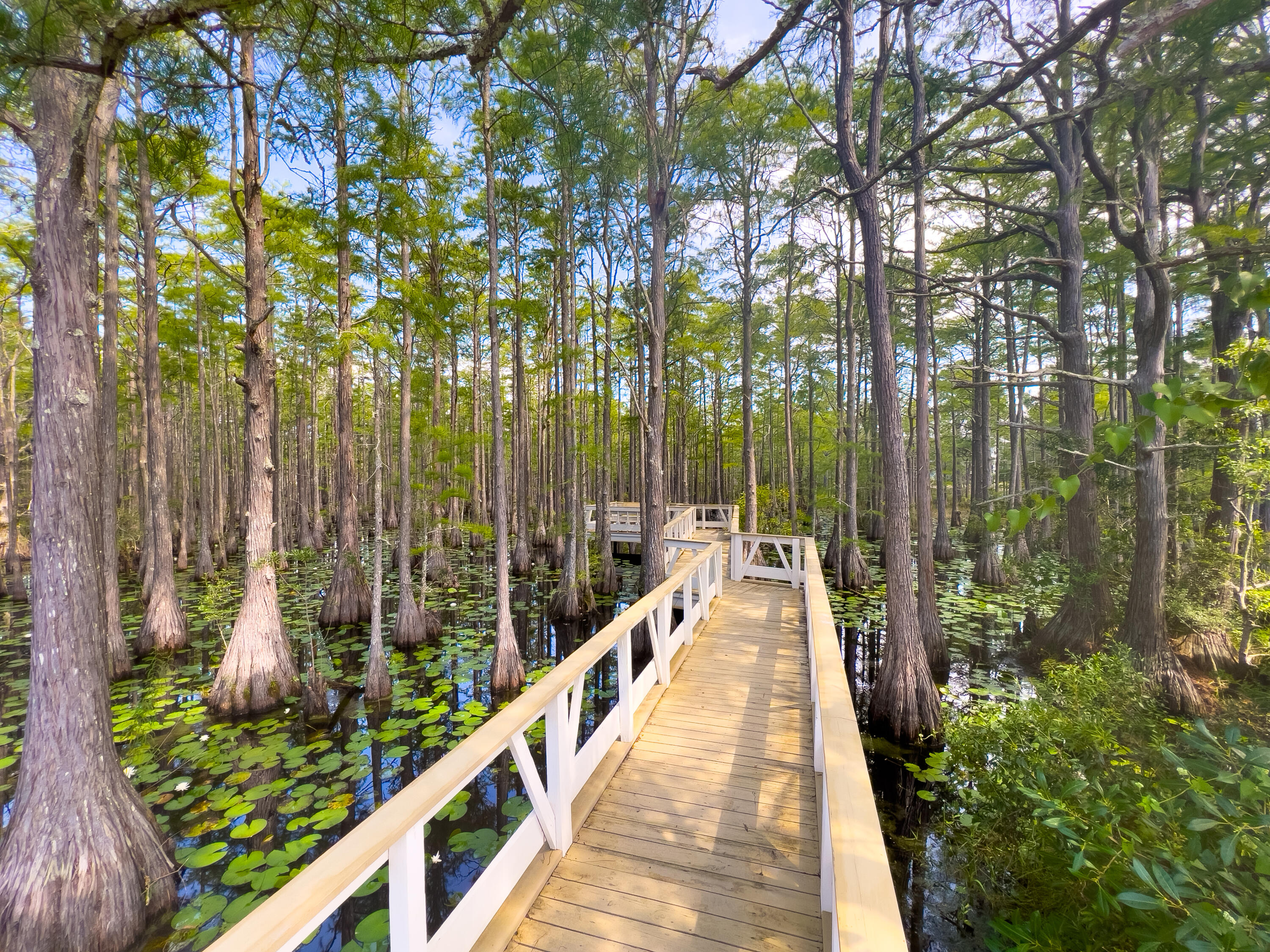 CYPRESS DUNES - Land