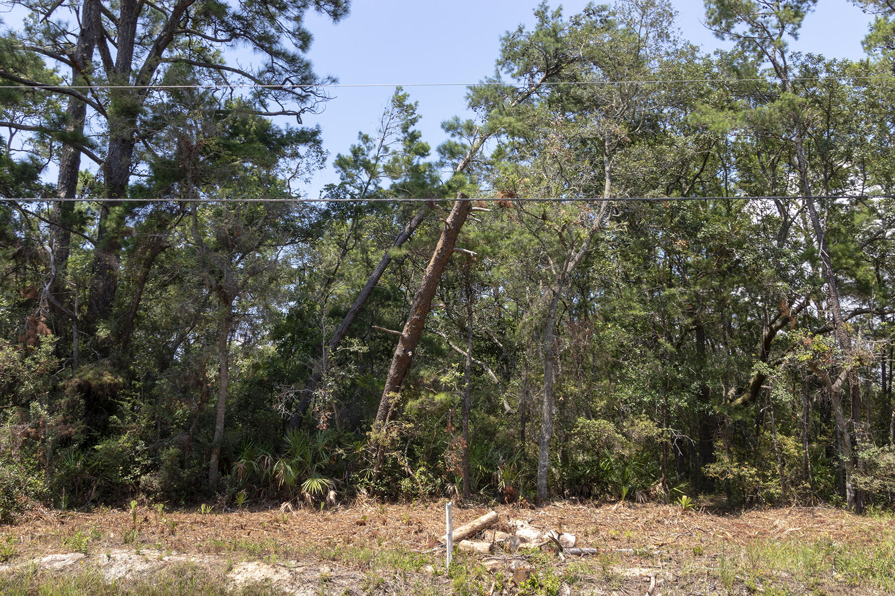 Your Coastal Dream Home in Point Washington awaits!
Nestled in the historic and highly sought-after Grayton Bayou Beach community of Santa Rosa Beach, this prime vacant lot offers a rare opportunity to build your custom retreat with no HOA fees and no build-out deadlines. Measuring a generous 50' x 150' (approx. 7,405 sq. ft.), this beautifully situated property provides the ultimate balance of quiet, old-Florida charm and modern coastal convenience. 

Water lovers rejoice! You are located just one-tenth of a mile from the neighborhood boat ramp and blocks away from a scenic bayfront county park equipped with a public kayak launch. Spend your mornings paddleboarding on the pristine waters of the Choctawhatchee Bay, and your afternoons relaxing on the sugar-white sands of the Gulf. When you want to explore, the best of the Emerald Coast is right at your fingertips. Take a short drive south to experience the world-class dining, upscale shopping, and iconic architecture of Seaside and Grayton Beach along Scenic Highway 30A. For your everyday conveniences, the brand-new Grand Boulevard town center and the shops at Sandestin are just minutes away, offering a Publix grocery store, a movie theater, and premier boutique shopping.
Whether you are looking to build a permanent residence, a seasonal getaway, or a savvy investment property, this lot is ready to bring your vision to life. Don't miss your chance to own a piece of paradise north of Hwy 98!