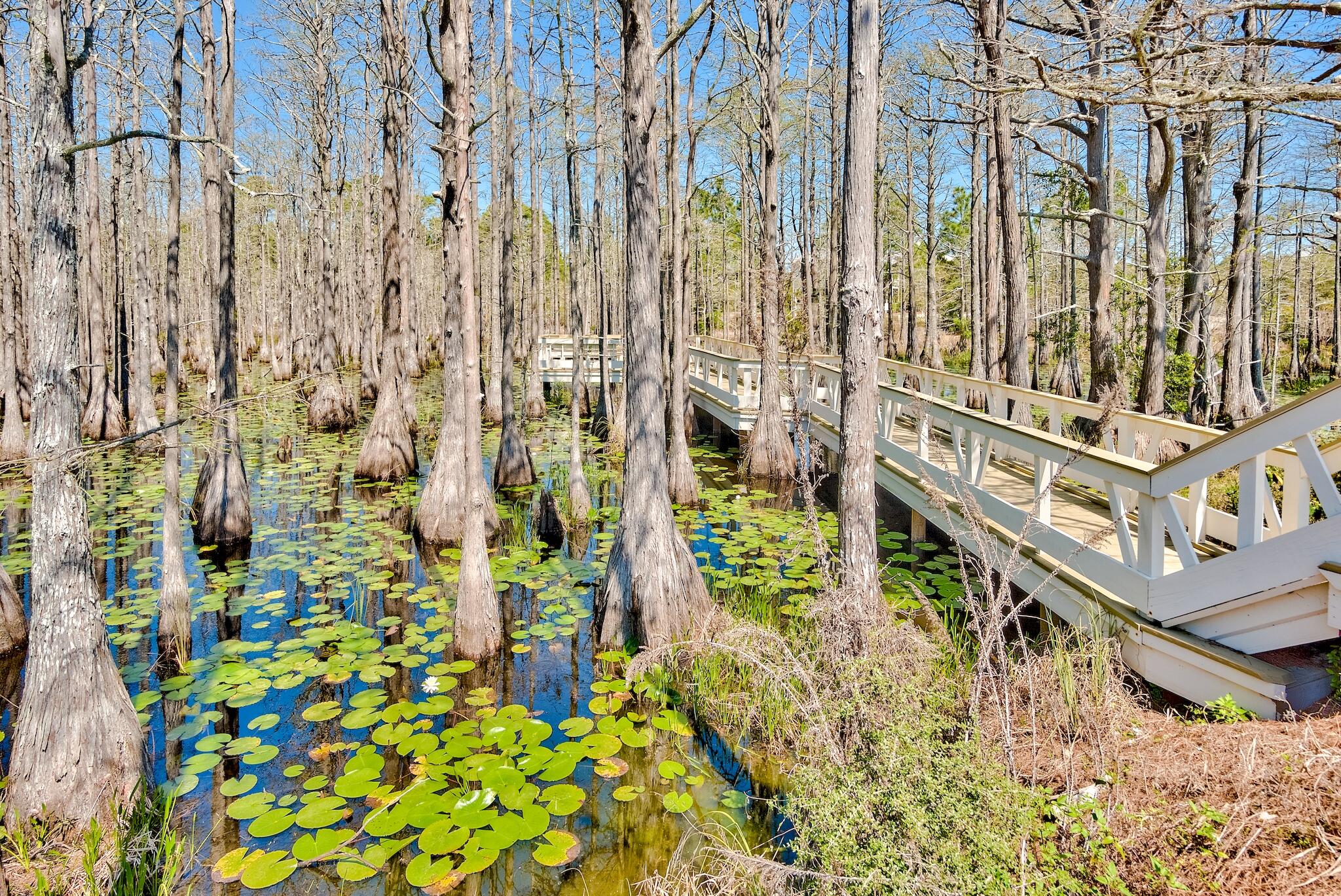 CYPRESS DUNES - Residential