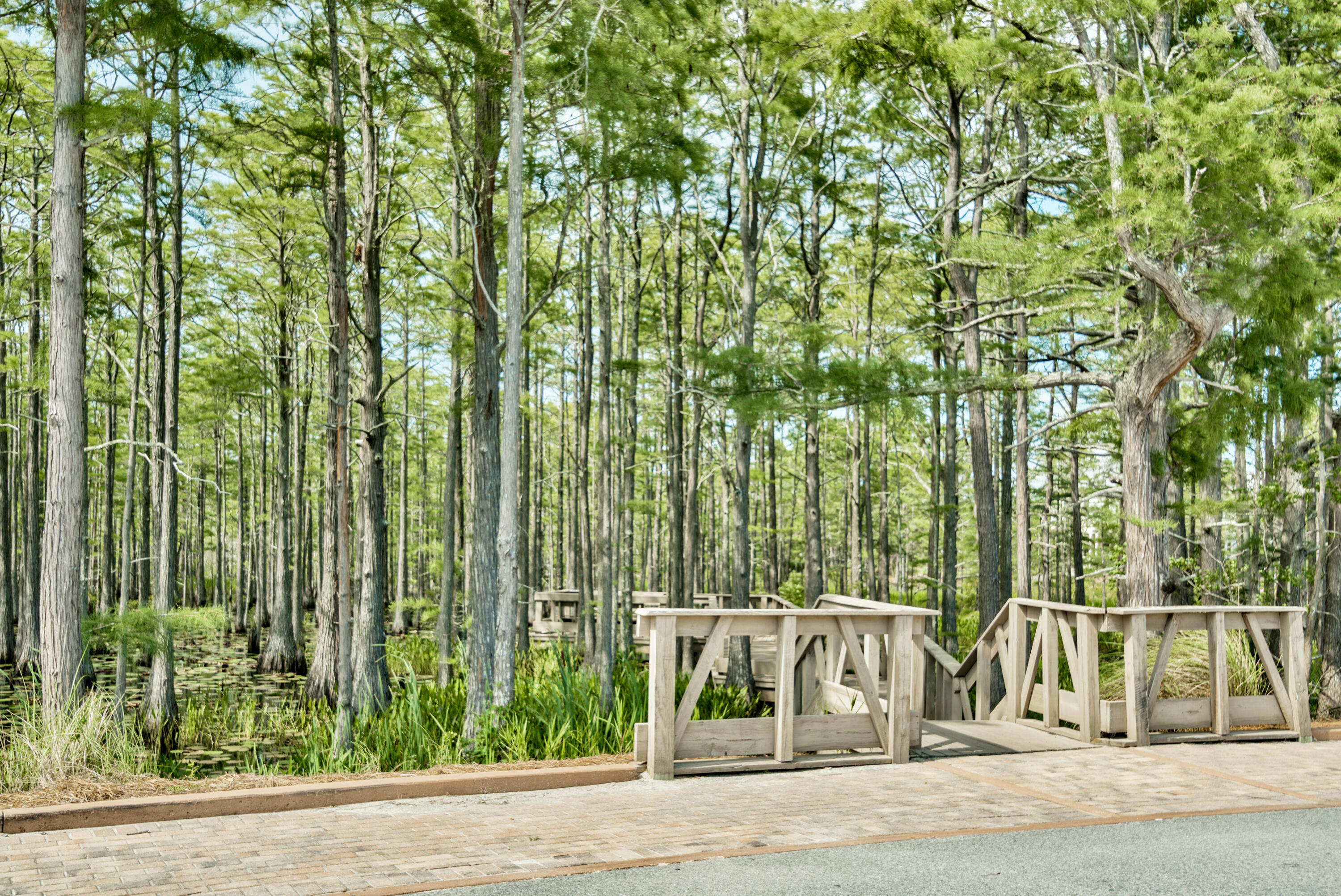 CYPRESS DUNES - Residential